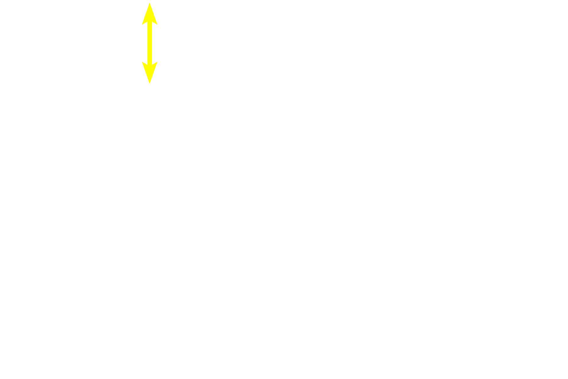 Germinal center <p>The paracortex or deep cortex is a T-dependent area possessing high endothelial venules (lined with simple cuboidal epithelium) and ordinary venules (lined by simple squamous epithelium). Lymphocytes leave the high endothelial venules to enter lymphatic tissue, where they initiate an immune response in the lymph node.  400x</p>
