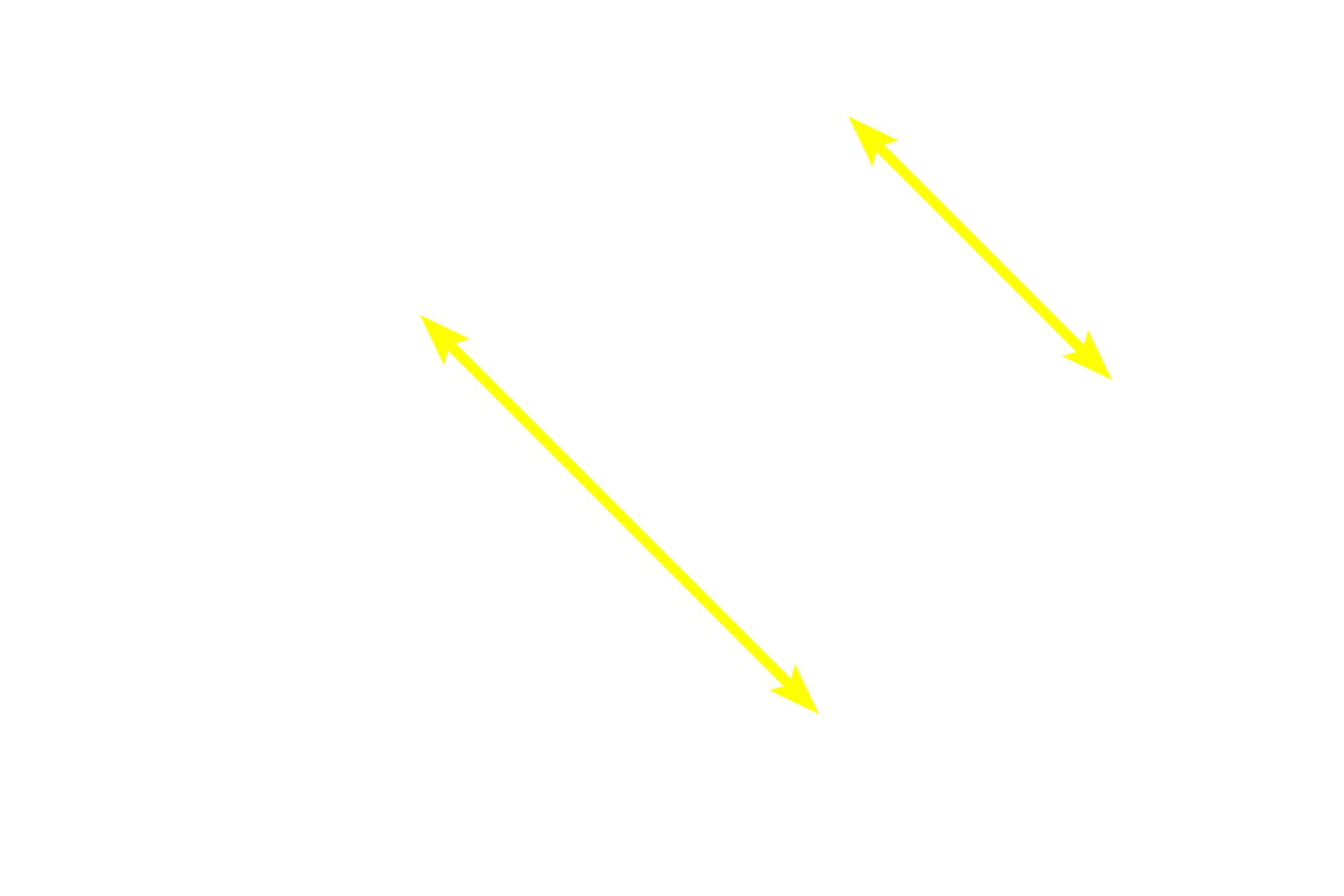 Paracortex <p>The paracortex or deep cortex is a T-dependent area possessing high endothelial venules (lined with simple cuboidal epithelium) and ordinary venules (lined by simple squamous epithelium). Lymphocytes leave the high endothelial venules to enter lymphatic tissue, where they initiate an immune response in the lymph node.  400x</p>
