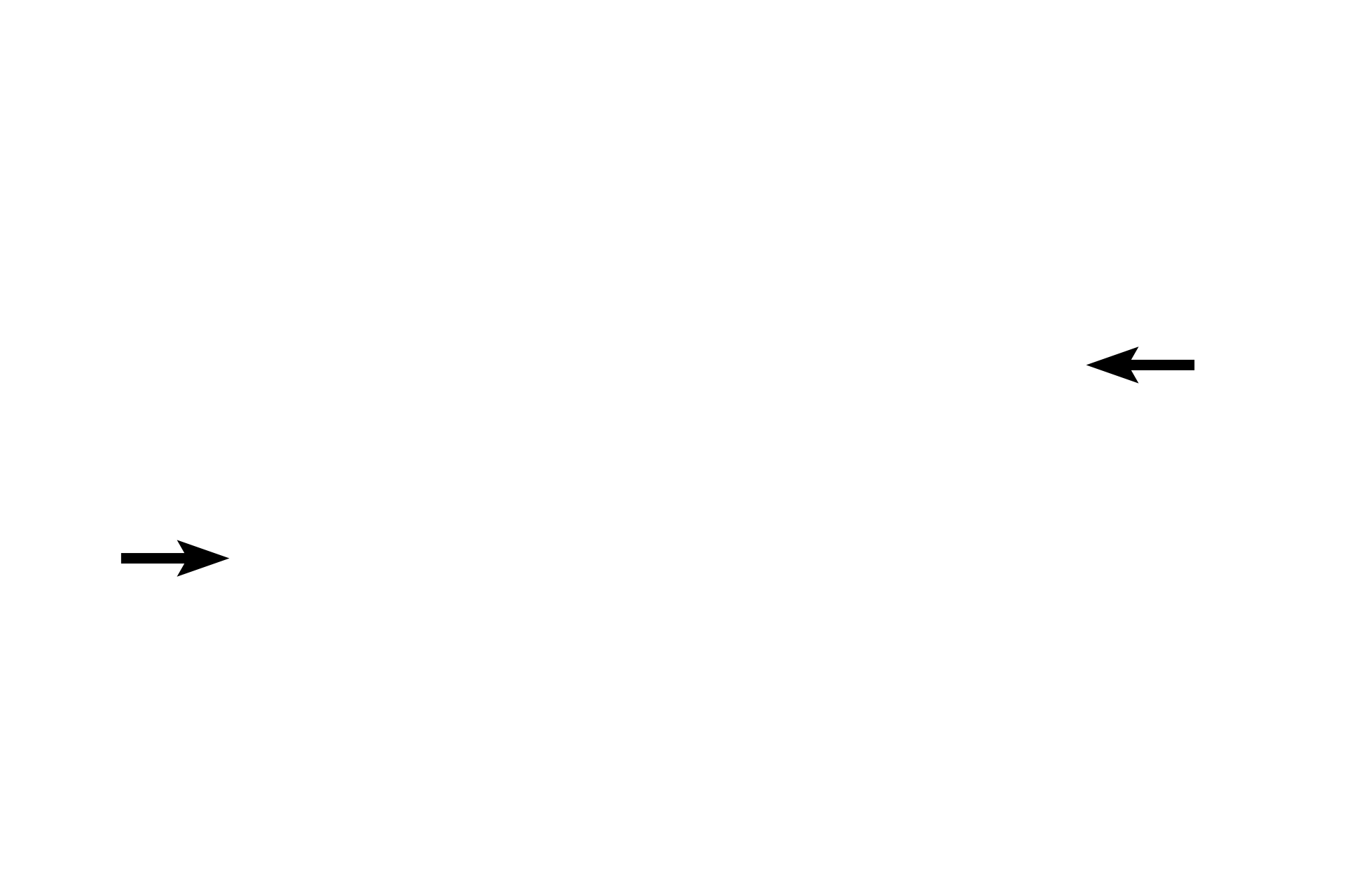 Capsule > <p>Because the spleen projects into the abdominal cavity, it is covered by a serosa, which overlies a dense connective tissue capsule. Long trabeculae extend from the capsule into the organ. Arteries enter the spleen at its hilum and travel in the trabeculae to supply splenic parenchyma.  Veins leave the parenchyma, enter the trabeculae and exit at the hilum.  Reticular connective tissue forms the stroma of the splenic interior.</p>
