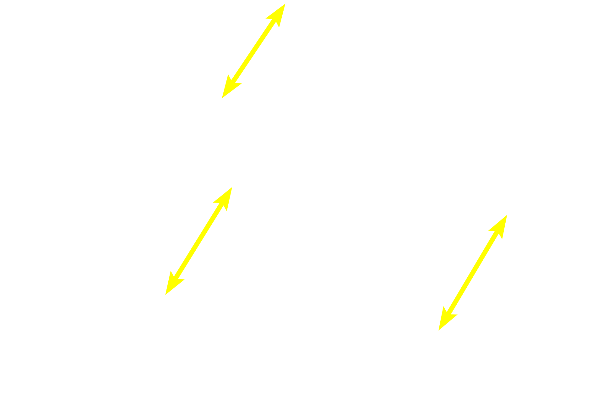Red pulp <p>This image of the white pulp in longitudinal view shows the relationship between the white pulp and its blood supply.  Branches of the splenic artery travel in the trabeculae and enter the white pulp as the central artery or central arteriole.  The central arteriole is surrounded by a cylindrical sleeve of lymphocytes called the periarterial lymphoid sheath or PALS, and consists mostly of T lymphocytes.</p>
