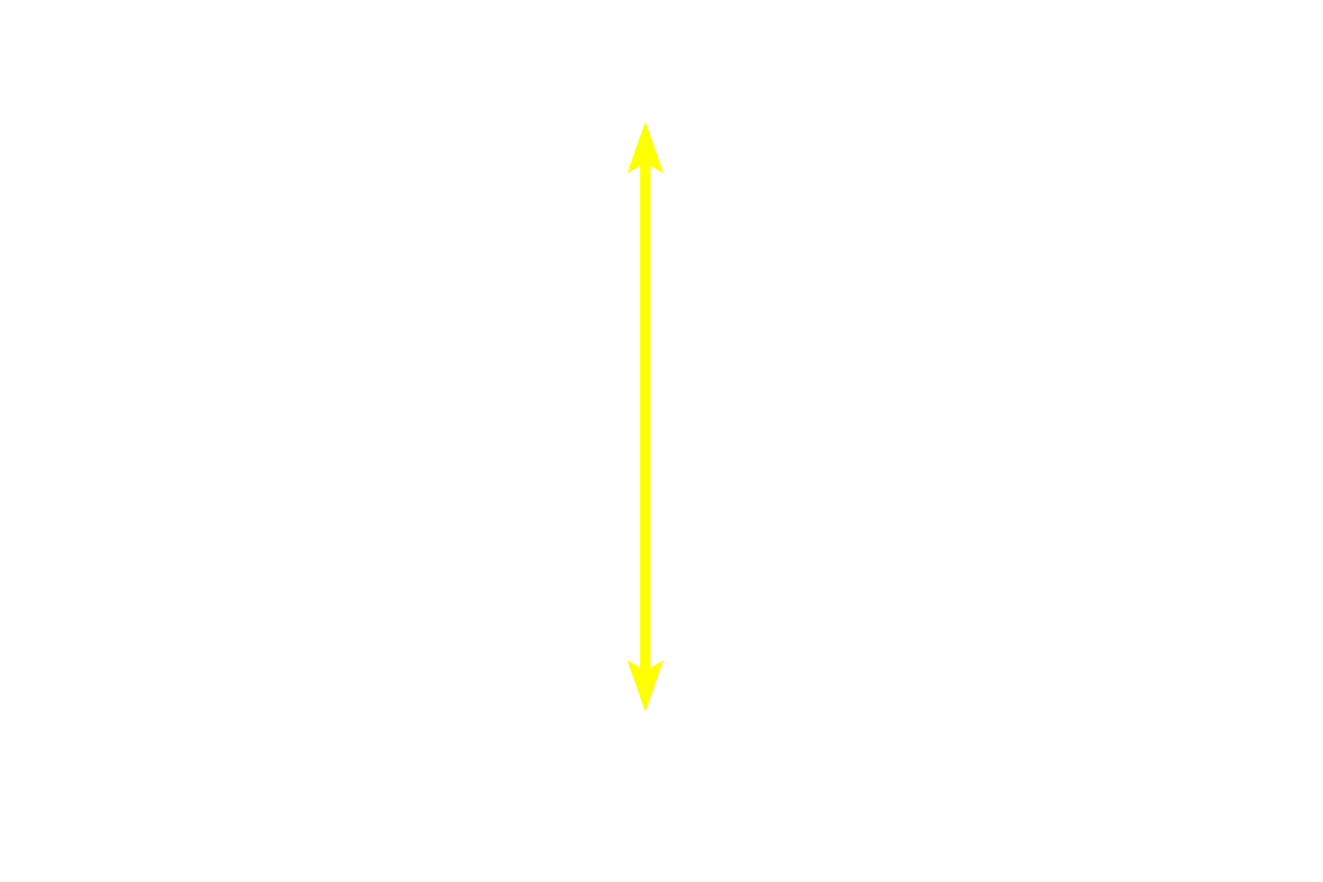 Periarterial lymphoid sheath (PALS) <p>When an arteriole leaves a trabecula and enters the parenchyma of the spleen, it is immediately surrounded by a sleeve of T-dependent, diffuse lymphatic tissue termed the periarterial lymphoid sheath, PALS.  Because the arteriole is located near the center of the PALS, it is called the central arteriole.  PALS forms one portion of the white pulp.  400x</p>
