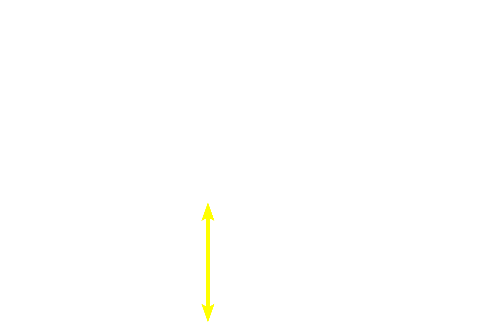 Germinal center <p>The marginal zone is a region located at the interface of the PALS with the red pulp. The marginal zone contains numerous thin walled blood sinuses, which are supplied by radial branches from the central arteriole. The surrounding reticular tissue contains numerous lymphocytes and macrophages.   The marginal zone is an important transit area for both immune cells and antigens and for the initiation of an immune response.  400x</p>

