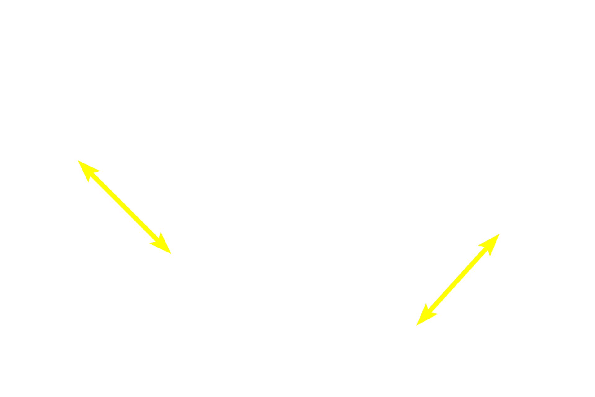 Periarterial lymphoid sheath (PALS) <p>The marginal zone is a region located at the interface of the PALS with the red pulp. The marginal zone contains numerous thin walled blood sinuses, which are supplied by radial branches from the central arteriole. The surrounding reticular tissue contains numerous lymphocytes and macrophages.   The marginal zone is an important transit area for both immune cells and antigens and for the initiation of an immune response.  400x</p>
