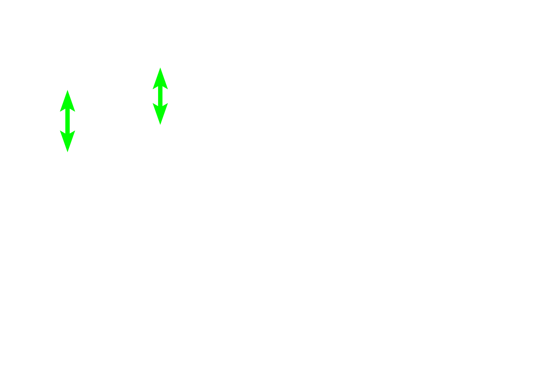 Marginal zone <p>The marginal zone is a region located at the interface of the PALS with the red pulp. The marginal zone contains numerous thin walled blood sinuses, which are supplied by radial branches from the central arteriole. The surrounding reticular tissue contains numerous lymphocytes and macrophages.   The marginal zone is an important transit area for both immune cells and antigens and for the initiation of an immune response.  400x</p>
