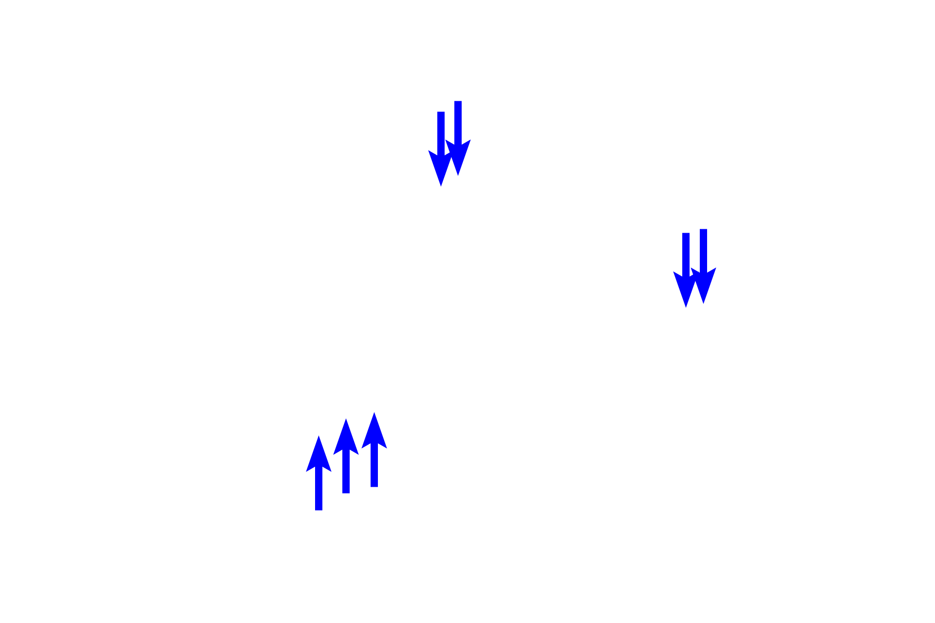 Endothelial cells <p>Splenic sinuses are unique sinusoidal vessels lined by highly elongated endothelial cells with large nuclei that bulge into the sinus lumen. The cells are oriented longitudinally with spaces between them, much like slats in a barrel.  These spaces facilitate movement of blood cells in and out of the sinus. Processes of macrophages span the lumen, providing surveillance for antigens in the blood.</p>
