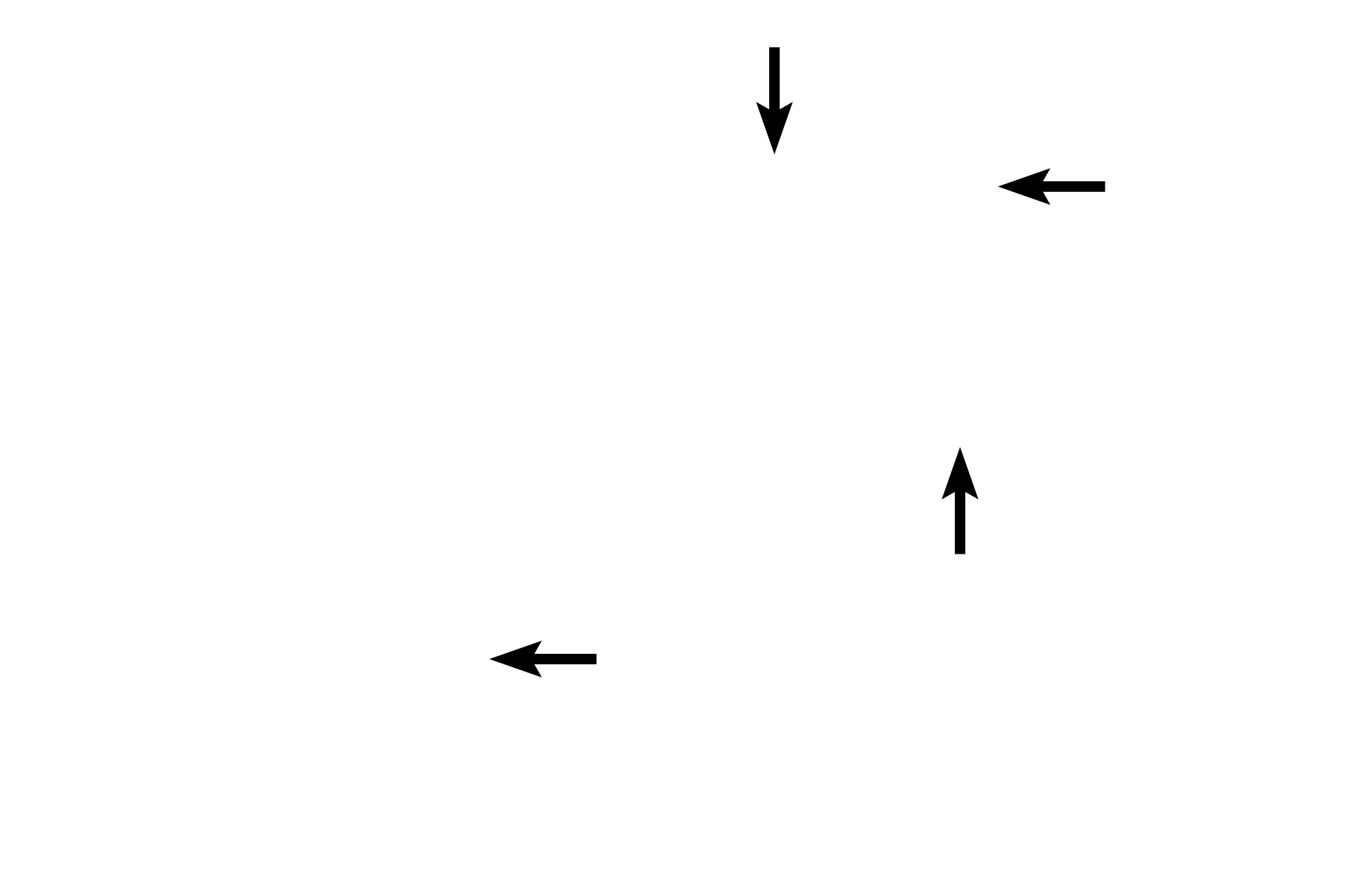Capsule > <p>The thymus possesses a thin connective tissue capsule from which trabeculae extend into the parenchyma of the organ. The capsule and trabeculae convey blood vessels into and out of the thymus.  Trabeculae subdivide the organ into thymic lobules, which consist of an outer cortex and a central medulla.  This medullary tissue is continuous between lobules.</p>
