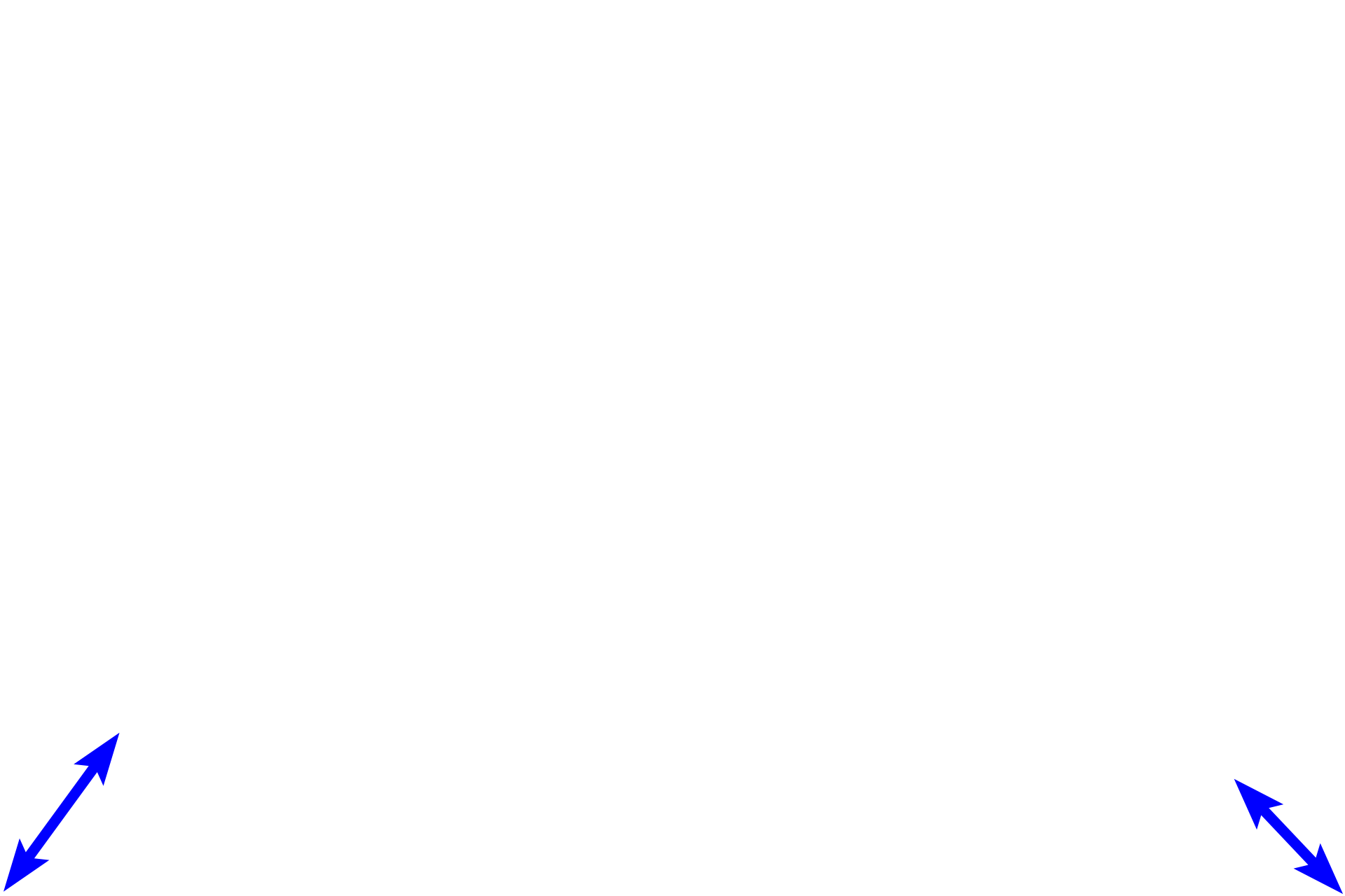 Muscularis externa <p>This Peyer’s patch demonstrates the accumulation of lymphoid tissues in the ileum.  Although secondary nodules are usually characteristic of Peyer’s patches, none are seen here.  However, primary nodules and diffuse lymphoid tissue are prevalent.  Because Peyer’s patches are located in the lamina propria of the mucosa, they are part of MALT and filter tissue fluid.  200x</p>
