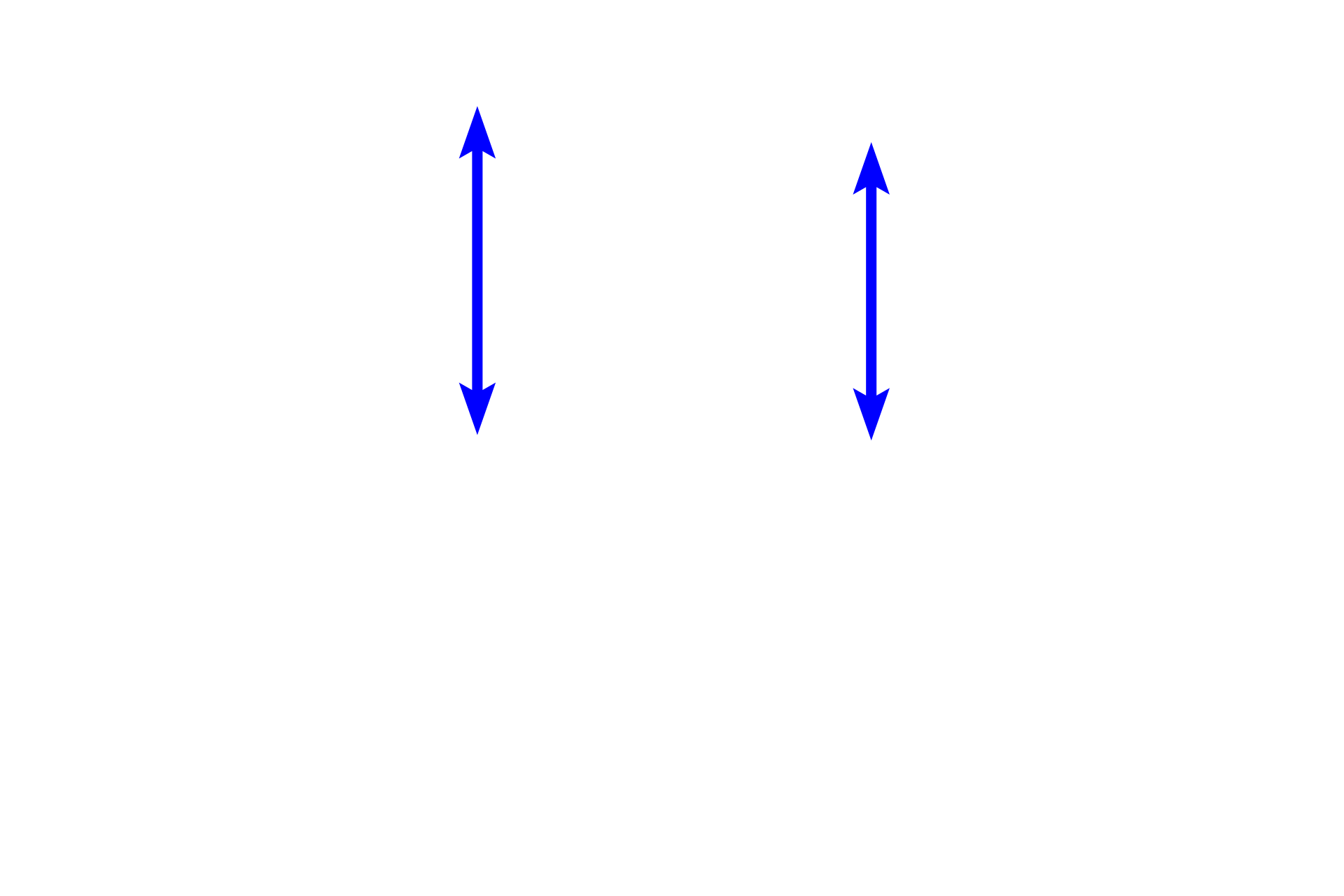Epithelium <p>The pharyngeal tonsils are lined by respiratory epithelium, pseudostratified ciliated columnar. This epithelium is highly infiltrated with lymphocytes and other white blood cells, presenting a greatly altered appearance from the usual pharyngeal epithelium. Note the diffuse lymphoid tissue in the underlying lamina propria. 1000x</p>
