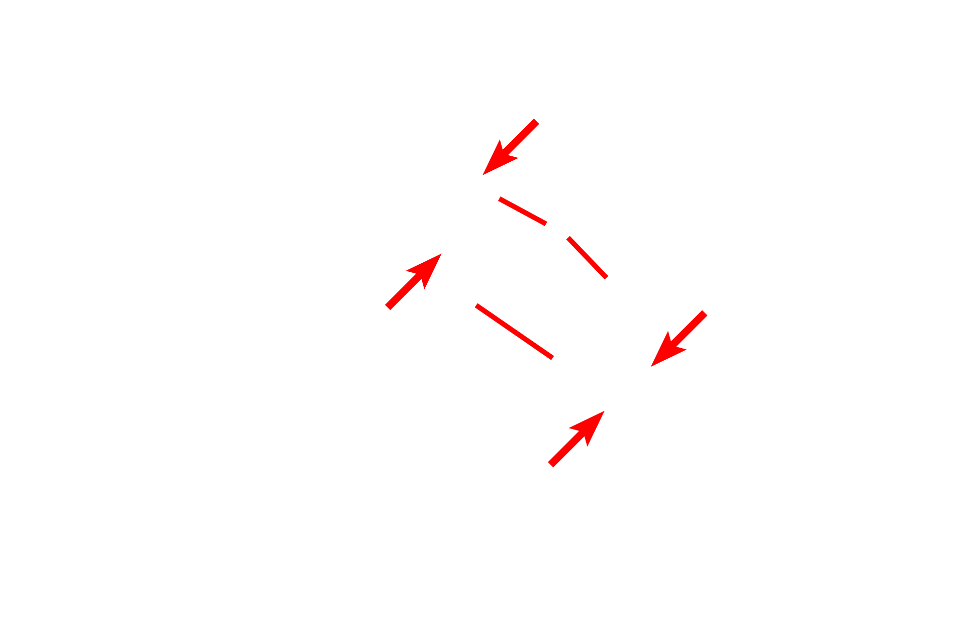 Valve flaps > <p>Lymph vessels possess valves, composed of paired flaps, to prohibit backflow of lymph.  Portions of the paired flaps are seen in this section; the missing portions of the flaps are indicated by the red lines.</p>
