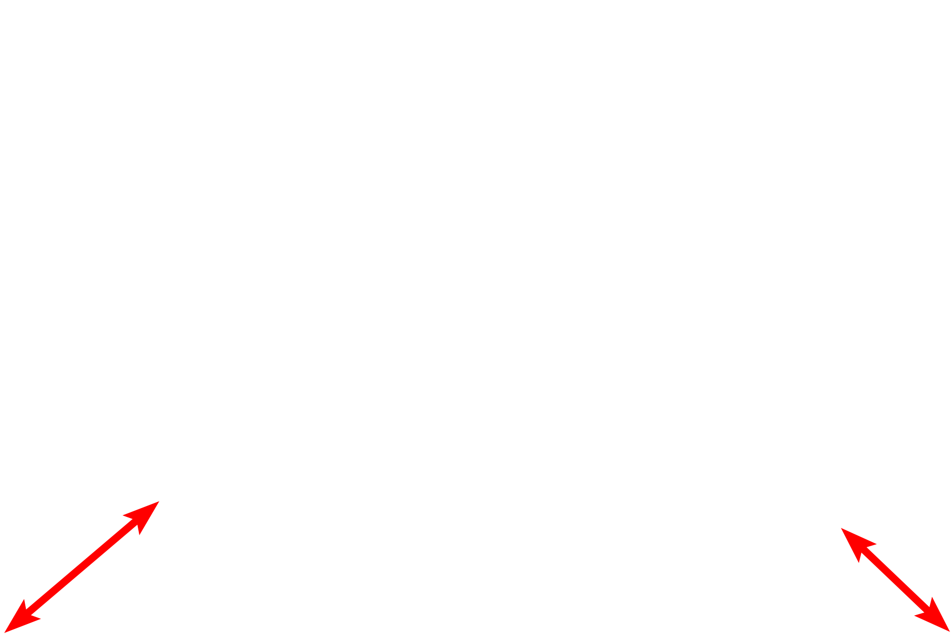 Adventitia <p>A portion of the paired valve flaps and the wall of the lymph vessel are seen at higher magnification.  1000x</p>
