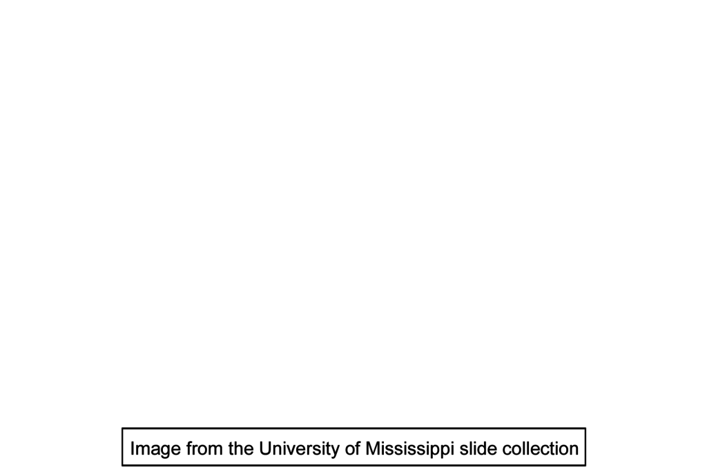Image source > <p>Image taken of a slide from the University of Mississippi collection.</p>
