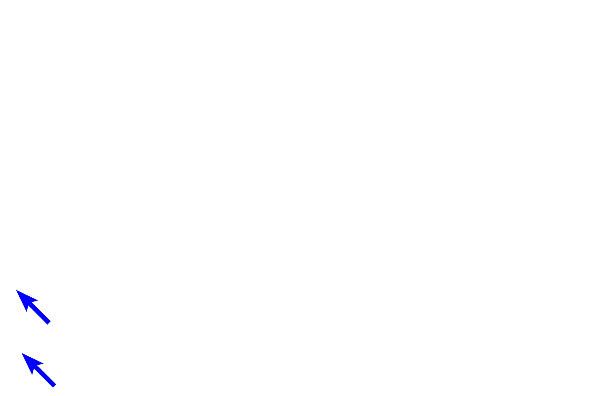 Intestinal glands <p>This secondary lymphoid nodule is located in the lamina propria of the small intestine.  It has a pale-staining germinal center where lymphoblasts divide to form lymphocytes.  Mature B lymphocytes accumulate at the periphery of the nodule, forming the dark mantle of the nodule.  Nodules in the lamina propria filter tissue fluid.  200x</p>
