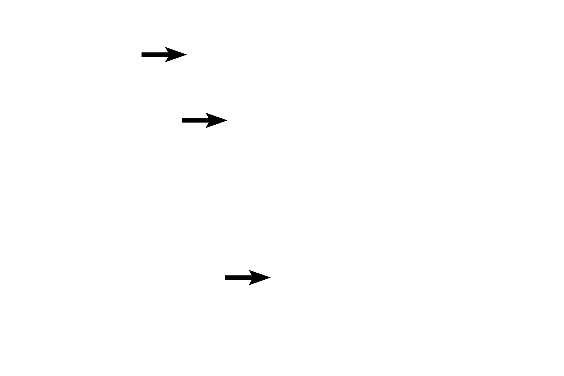 Skin > <p>The skin of the eyelid is thin skin containing many small hairs with sebaceous and sweat glands.</p>
