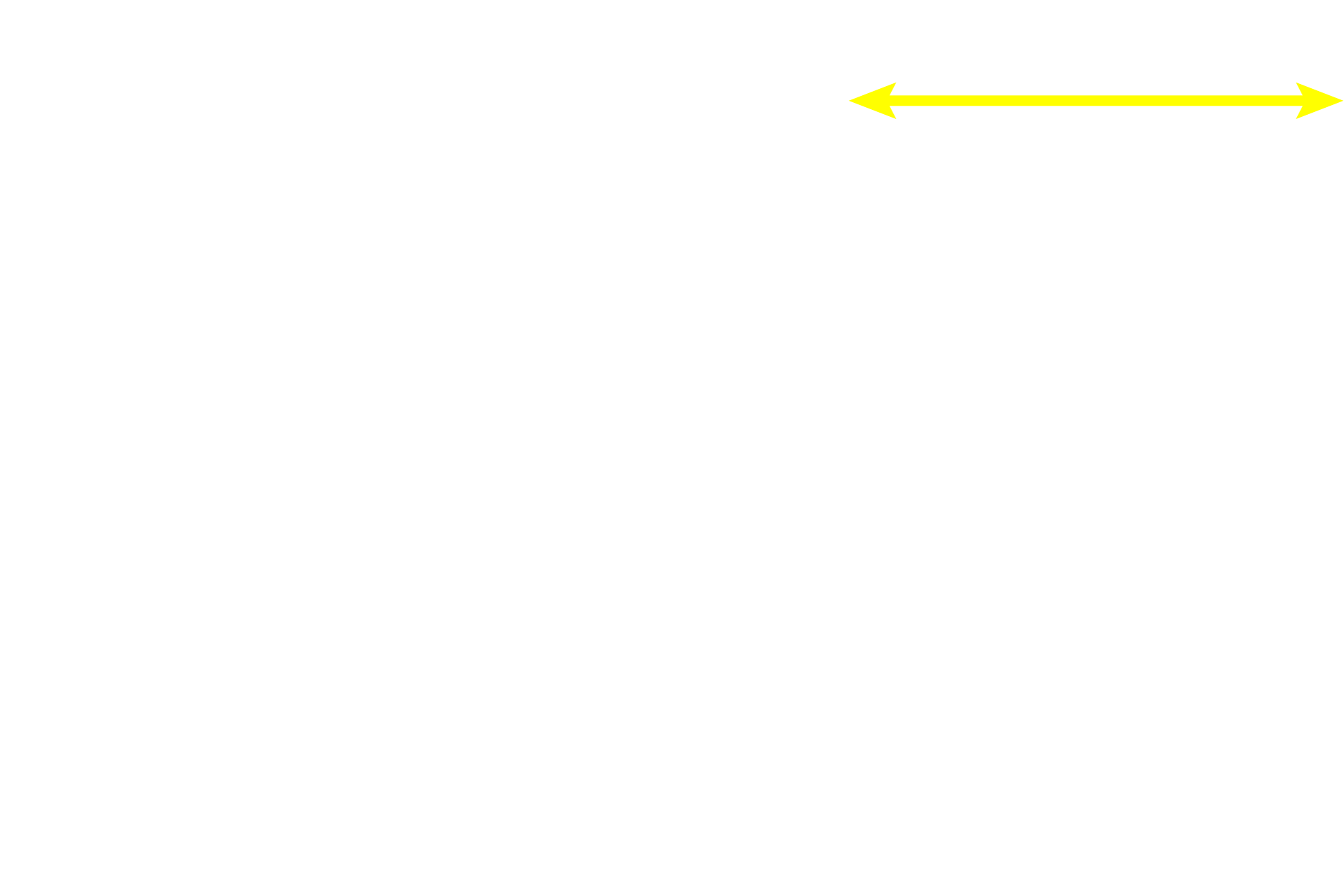 Lens > <p>Additional structures in the anterior portion of the eye are also visible, including the lens, iris, cornea and pupil.</p>
