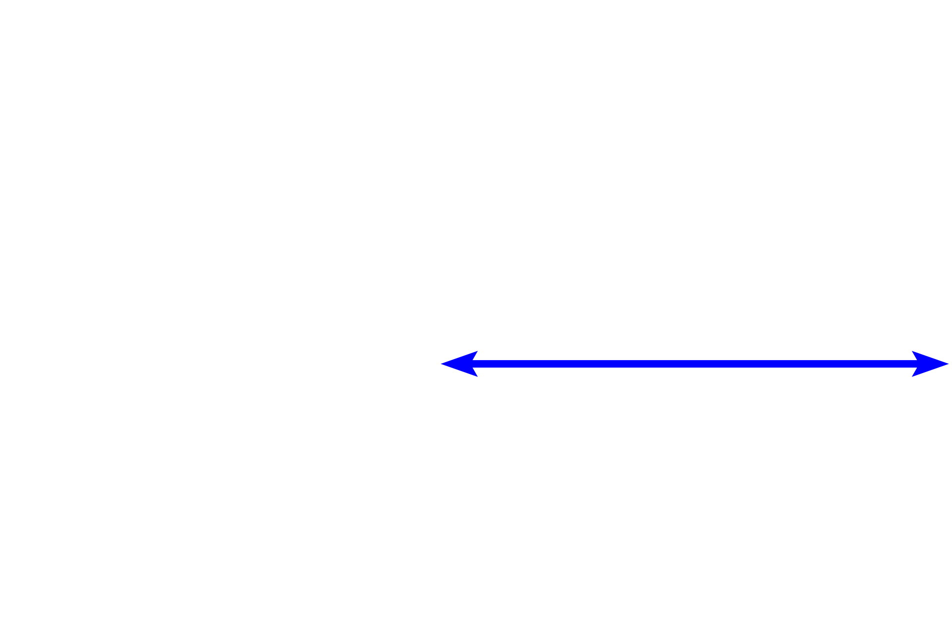 Lens <p>The anterior surface of the lens and portion of the iris are shown here.  The outermost layer of the lens is a capsule, which represents the highly thickened basal lamina of the lens epithelium lying inside the capsule.  This capsule consists primarily of proteoglycans and type IV collagen and except in the equatorial regions, is thicker on the anterior, than on the posterior, surface of the lens.</p>
