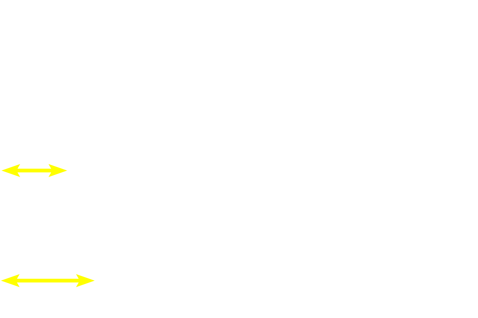Iris <p>The ciliary epithelium is a portion of the non-sensory retinal layer of the inner tunic.  This layer lines the posterior surface of the ciliary body and its processes, before continuing over the posterior surface of the iris.  Ciliary epithelium consists of two epithelial layers, with the one adjacent to the stroma being heavily pigmented.  The ciliary epithelium produces the zonule fibers and secretes aqueous humor.</p>
