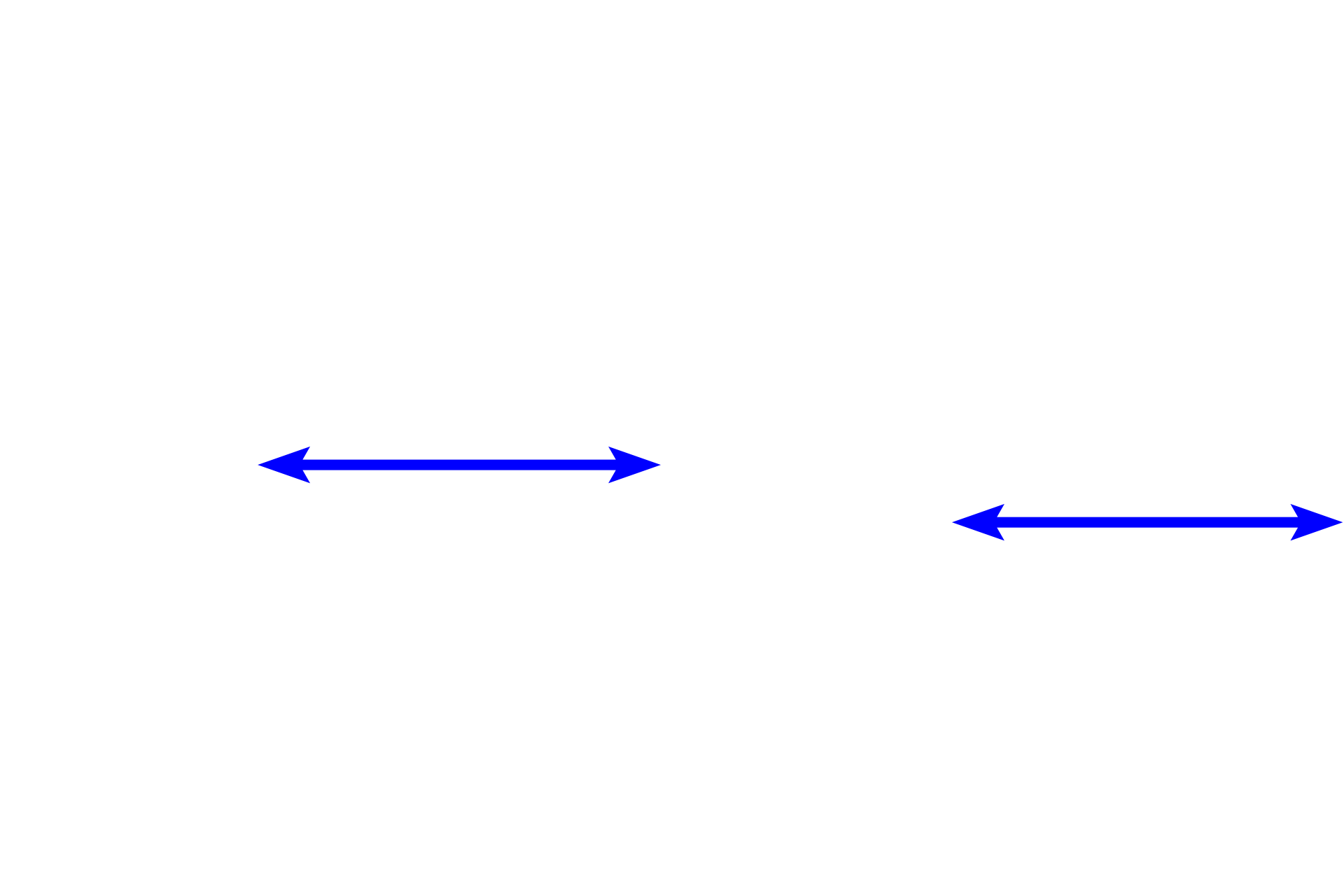 Lens > <p>The bulk of the lens is made primarily of elongated lens fibers that are modified cells of the lens epithelium.  The lens epithelium is present only on the anterior and equatorial regions of the lens and consists of a single layer of cuboidal cells.  The outermost layer of the lens is a capsule, which represents the highly thickened basal lamina of the lens epithelium that lies inside the capsule.</p>

