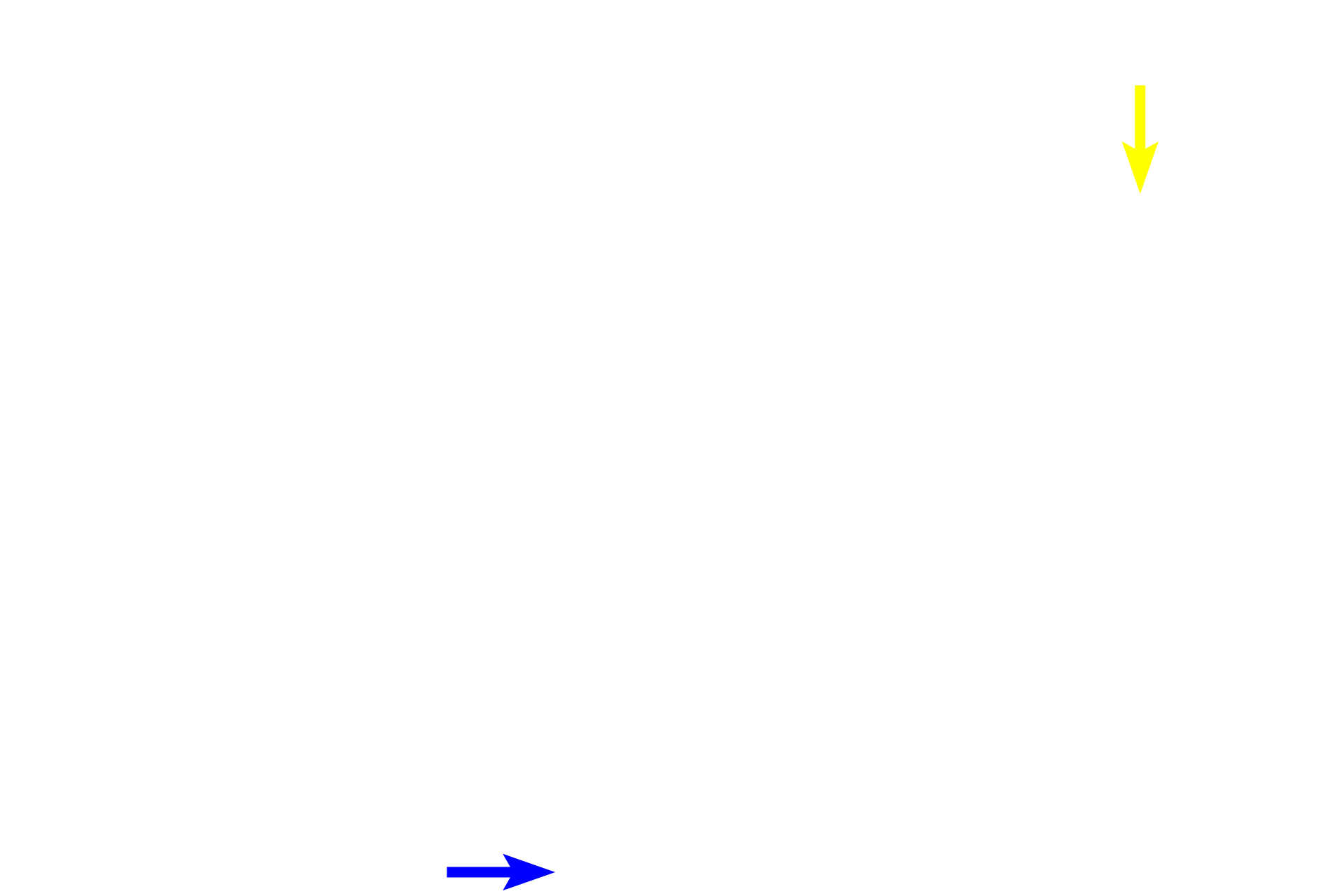 Pupil <p>The iris is a donut-shaped structure with a central aperture, the pupil.  The iris separates the anterior from the posterior chamber.   A heavily pigmented, two-layered epithelium forms the posterior boundary of the iris, preventing light from entering the posterior chamber.  The region where the iris meets the sclera is called the iridoscleral angle.  The iris and the ciliary body are components of the middle tunic or uveal tract.</p>
