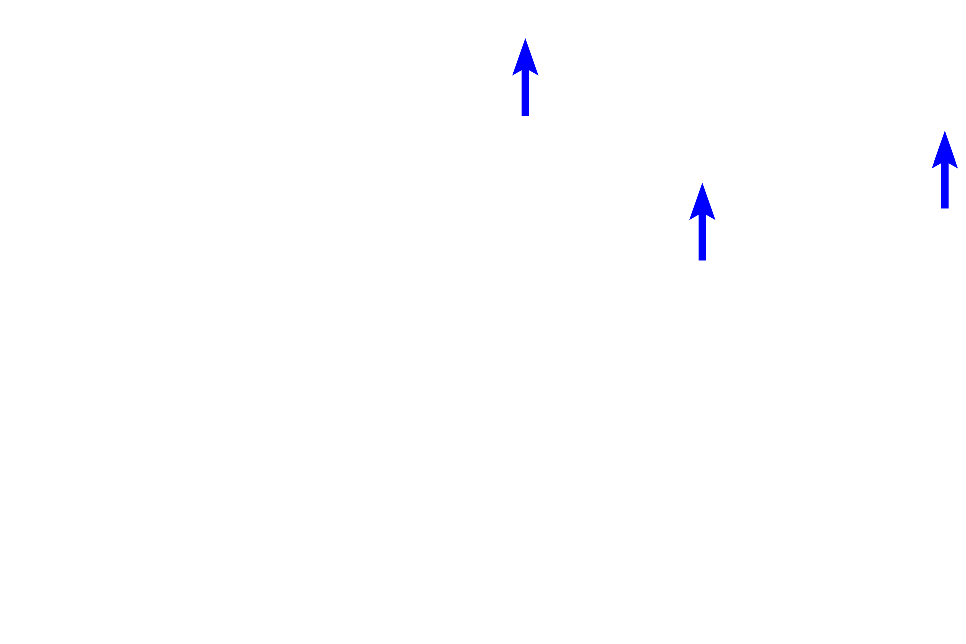 Sclera > <p>The second component of the fibrous tunic is the sclera which is opaque and forms the “white of the eye.” Its collagen fibers are much less regularly arranged than in the cornea, resulting in its opacity. The sclera is present in the posterior four-fifths of the eye.</p>
