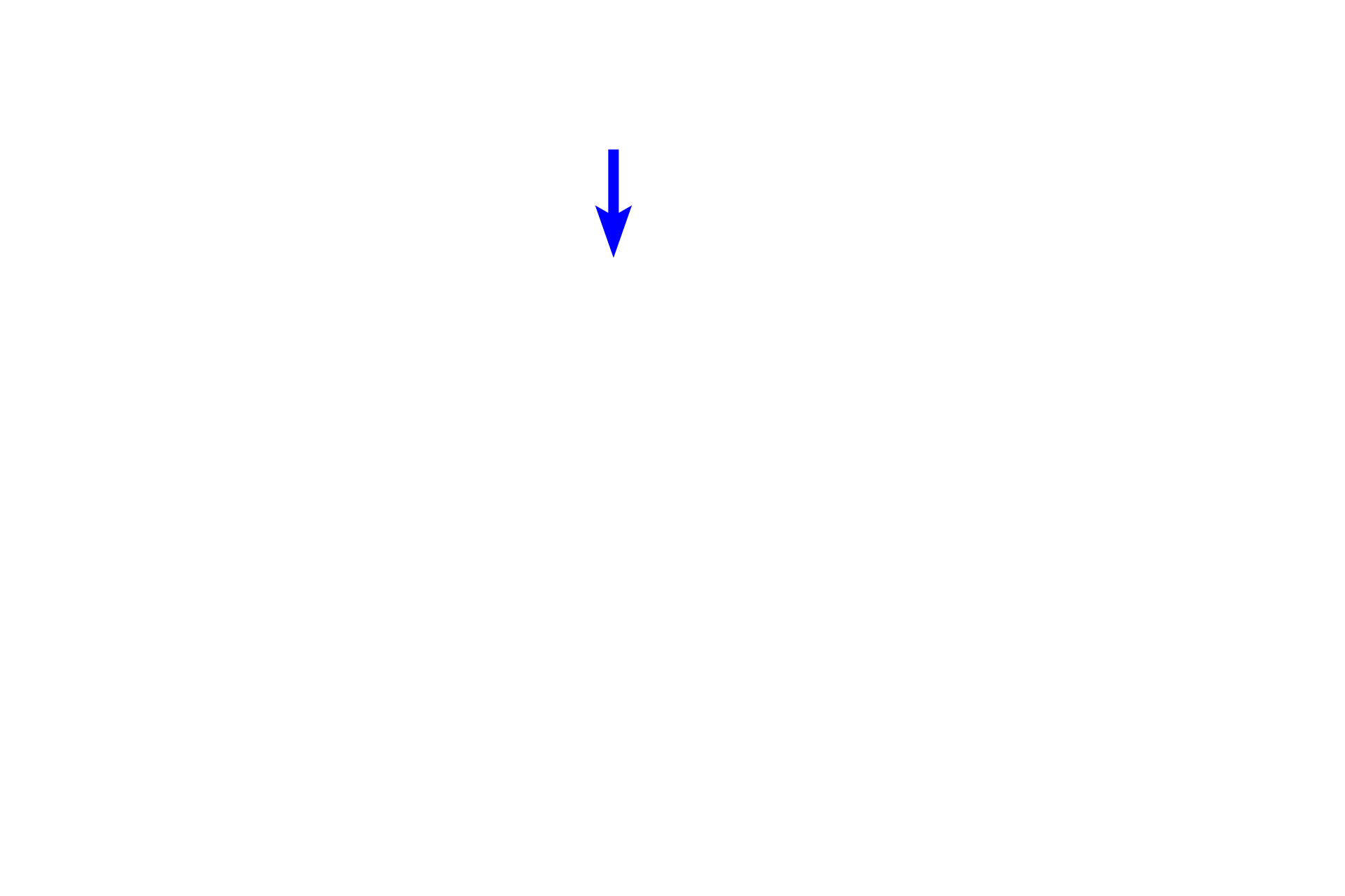  - Canal of Schlemm <p>The trabecular meshwork, located in the limbus, is a series of endothelium-lined channels that drain aqueous humor from the anterior chamber of the eye.  Aqueous humor flows from the trabecular meshwork into the larger canal of Schlemm, which connects with the venous system external to the eye.</p>
