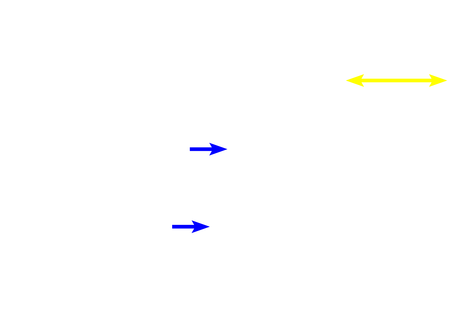 Iris > <p>The iris is a donut-shaped structure with a central aperture, the pupil.  The iris separates the anterior from the posterior chamber.   A heavily pigmented, two-layered epithelium forms the posterior boundary of the iris, preventing light from entering the posterior chamber.  The iris and the ciliary body are components of the middle tunic or uveal tract.</p>
