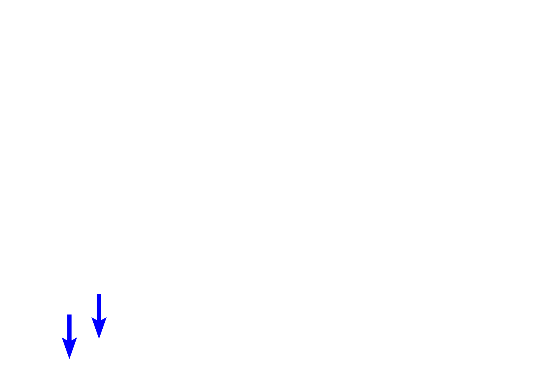 Cranial nerve axons <p>Extrinsic ocular muscles consist of three three pairs of antagonistic muscles that control movement of the eye.  They originate from the posterior region of the orbit and insert on the sclera.  They A seventh muscle, the levator palpebrae, elevates the upper eyelid.  All extraocular muscles are composed of skeletal muscle fibers that are innervated by cranial nerves III, IV and VI. </p>
