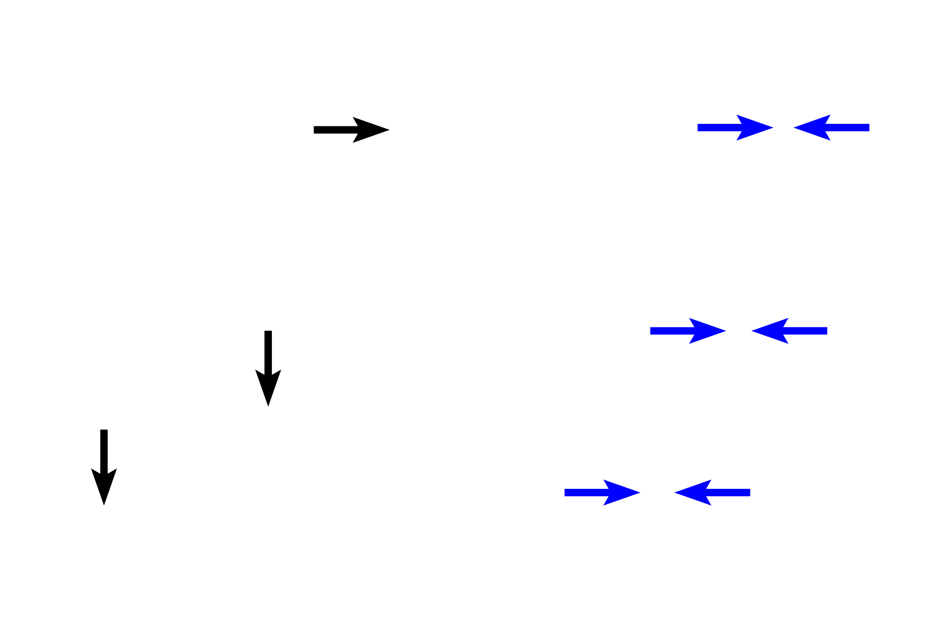 Retina <p>Extrinsic ocular muscles consist of three three pairs of antagonistic muscles that control movement of the eye.  They originate from the posterior region of the orbit and insert on the sclera.  They A seventh muscle, the levator palpebrae, elevates the upper eyelid.  All extraocular muscles are composed of skeletal muscle fibers that are innervated by cranial nerves III, IV and VI. </p>
