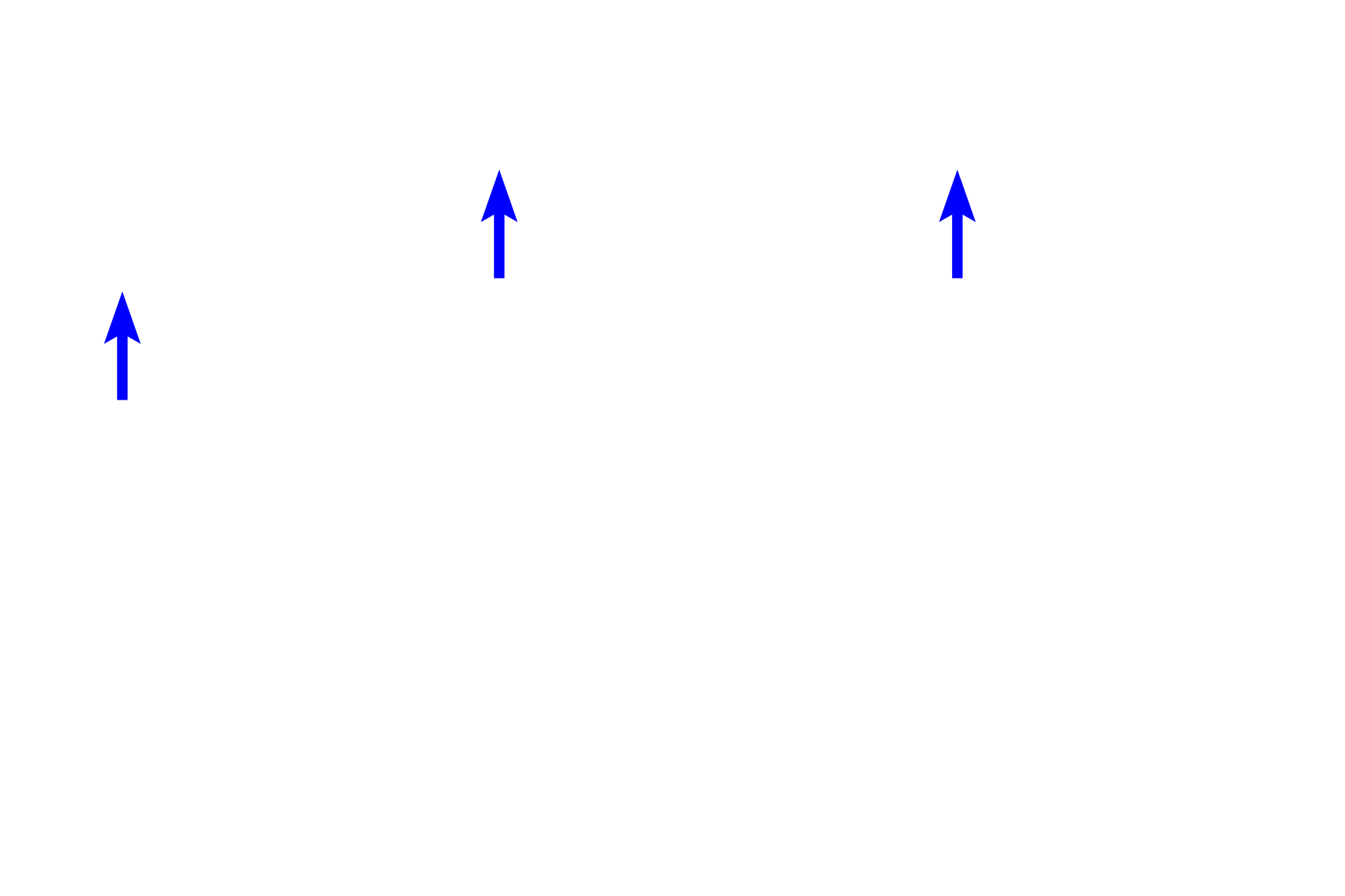 Lens epithelium > <p>The lens epithelium is present only on the anterior and equatorial regions of the lens and consists of a single layer of cuboidal cells.  Near the equator of the lens, the cells divide to produce new cells that differentiate into lens fibers.  The lens capsule is formed by the thickened basal lamina of the lens epithelium.</p>
