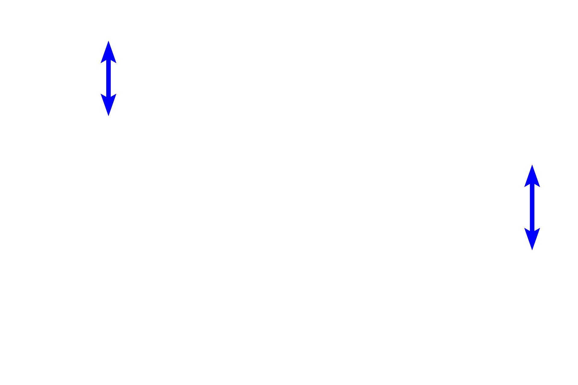 Retina <p>The optic disc is the site where the optic nerve exits the eye.  Axons from retinal ganglion cells course in the nerve fiber layer, converge at the optic disc and then exit the eye, forming the optic nerve (Cranial nerve II).   The optic disc is devoid of retinal neurons, including photoreceptors, and, hence, is called the visual blind spot.  At the center of the optic disc is the optic papilla.  100x</p>
