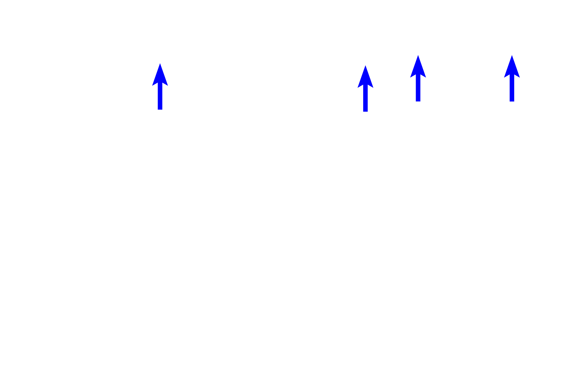  - Ganglion cell layer > <p>The ganglion cell layer contains the cell bodies and nuclei of ganglion cells.  Ganglion cells are multipolar in shape with large euchromatic nuclei and long processes that collectively form the nerve fiber layer.</p>
