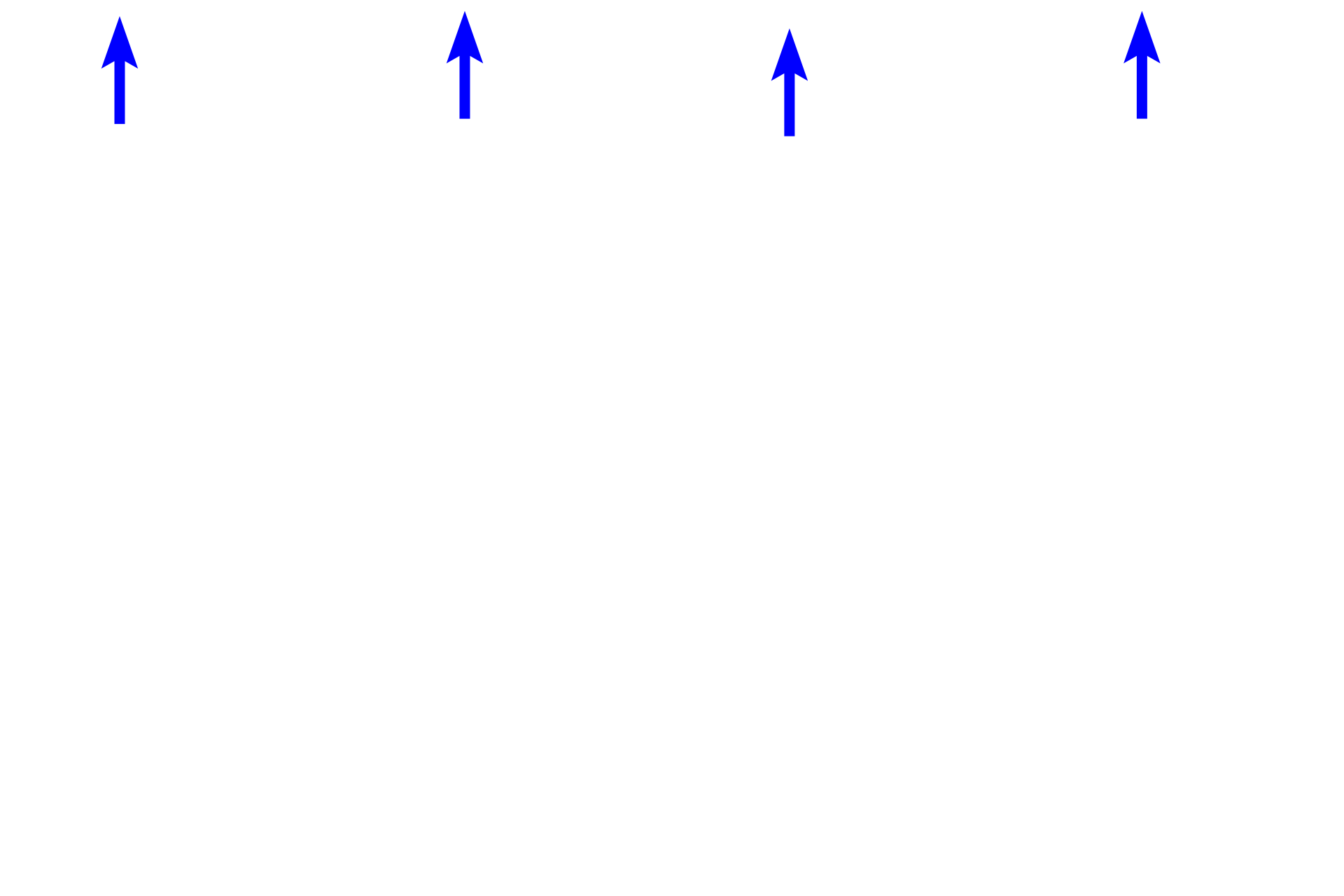  - Inner limiting membrane > <p>The inner limiting membrane, consists of a thickened basal lamina, lies adjacent to the vitreous body and marks the inner boundary of the sensory retina.</p>
