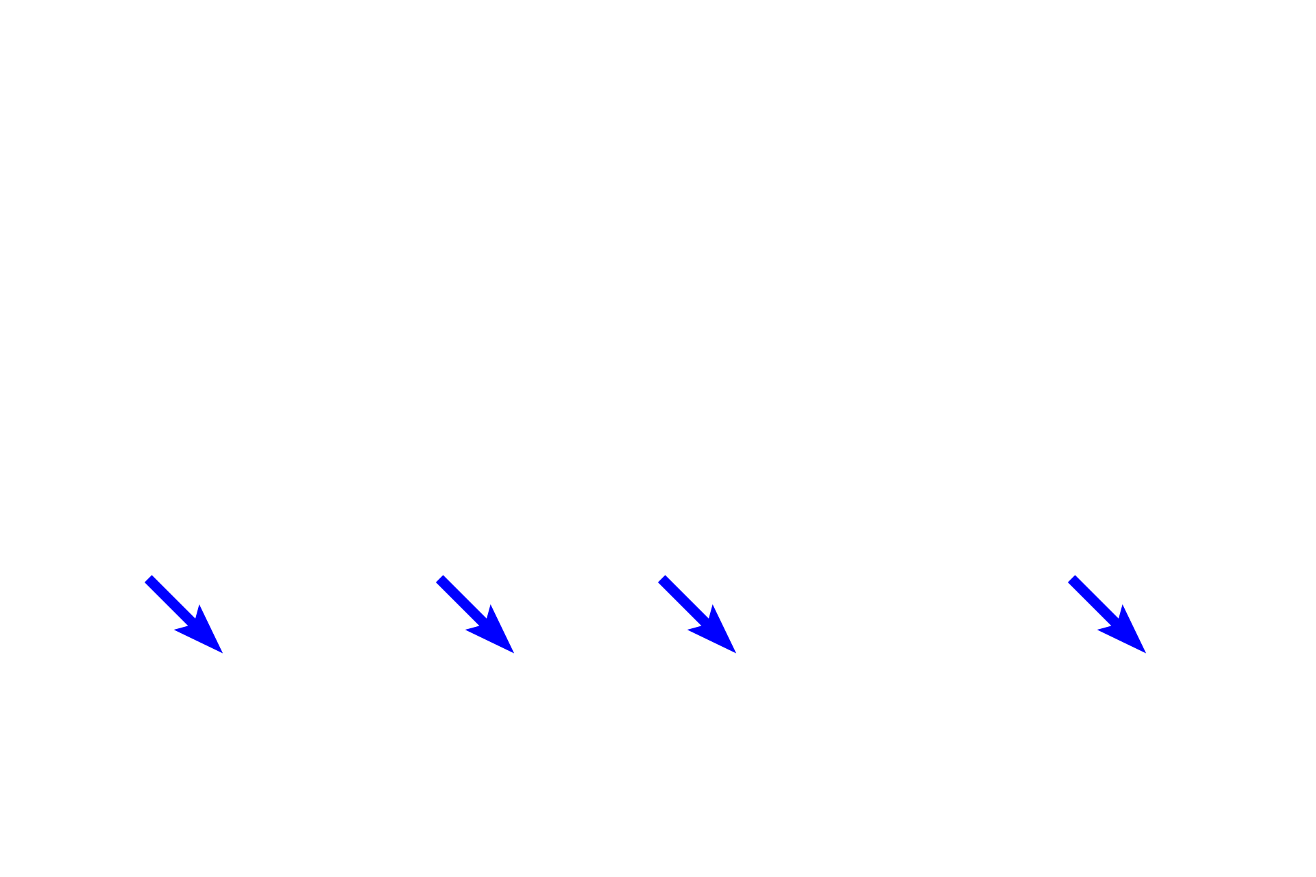  -- Inner segments > <p>The inner segment contains the majority of the metabolic organelles of the rods and cones.</p>
