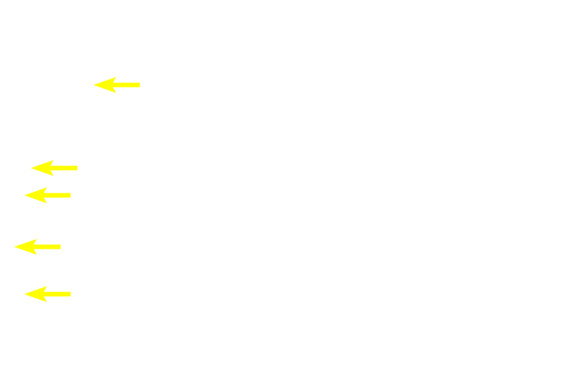 Rod > <p>The retina contains approximately 120 million rods and 7 million cones.  Rods, so named based of the cylindrical shape of their outer segments, are not evenly distributed across the retina.  Rods predominate in peripheral regions of the retina and are more responsive to low light levels.</p>
