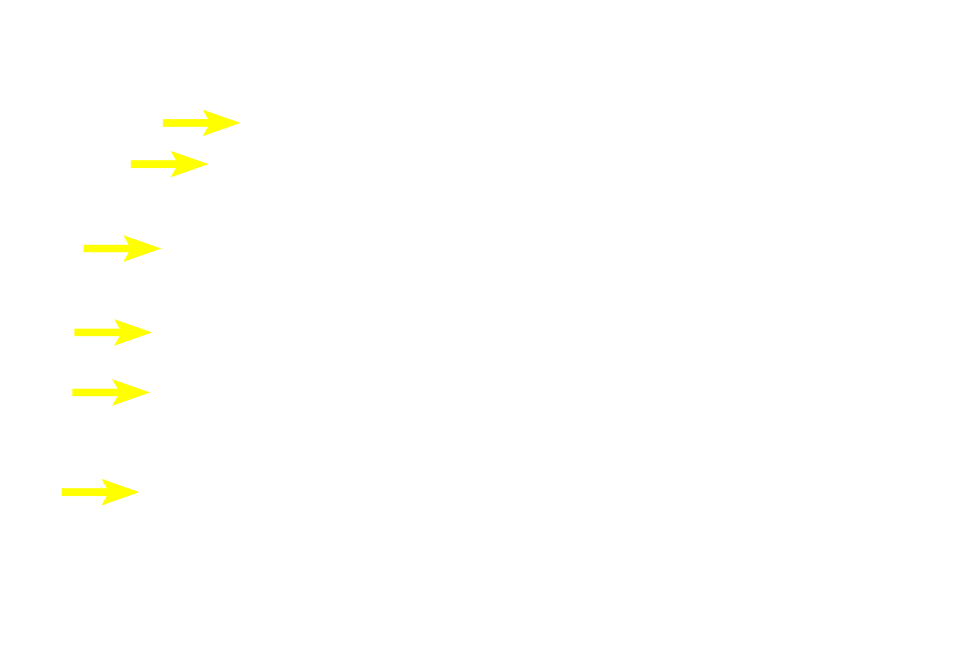 Cone > <p>The 7 million cones are concentrated in the central retina, notably in in the fovea, the region of greatest visual acuity.  Cones are named because of the conical shape of their outer segments.</p>
