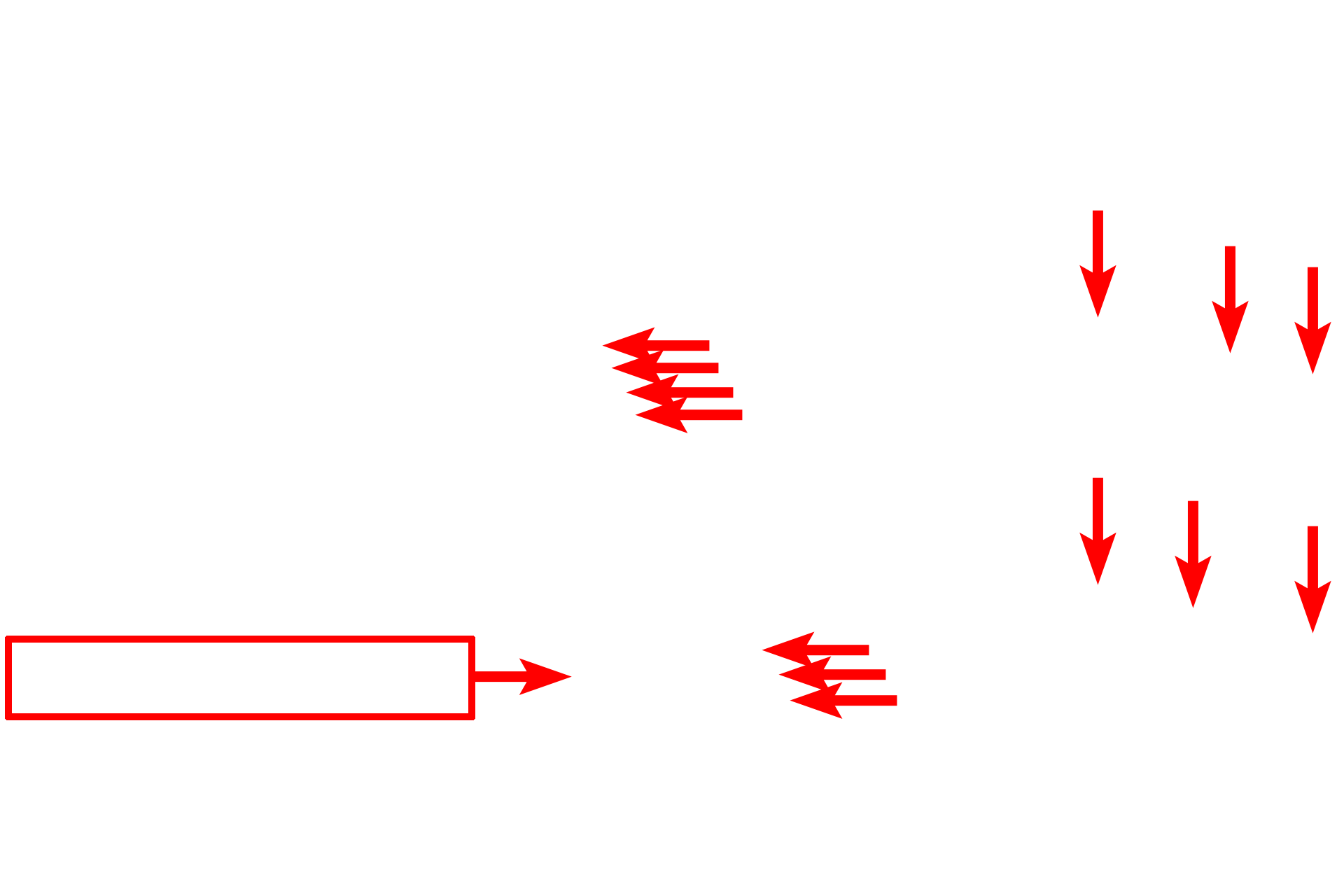  - Membranous discs > <p>The outer segments of rods are roughly cylindrical and consist mainly of 600–1000 flattened membranous discs.  The discs are stacked like coins within the cytoplasm of the outer segment; their membranes are not connected to the plasma membrane.  Phototransduction occurs along the disc membrane.</p>

