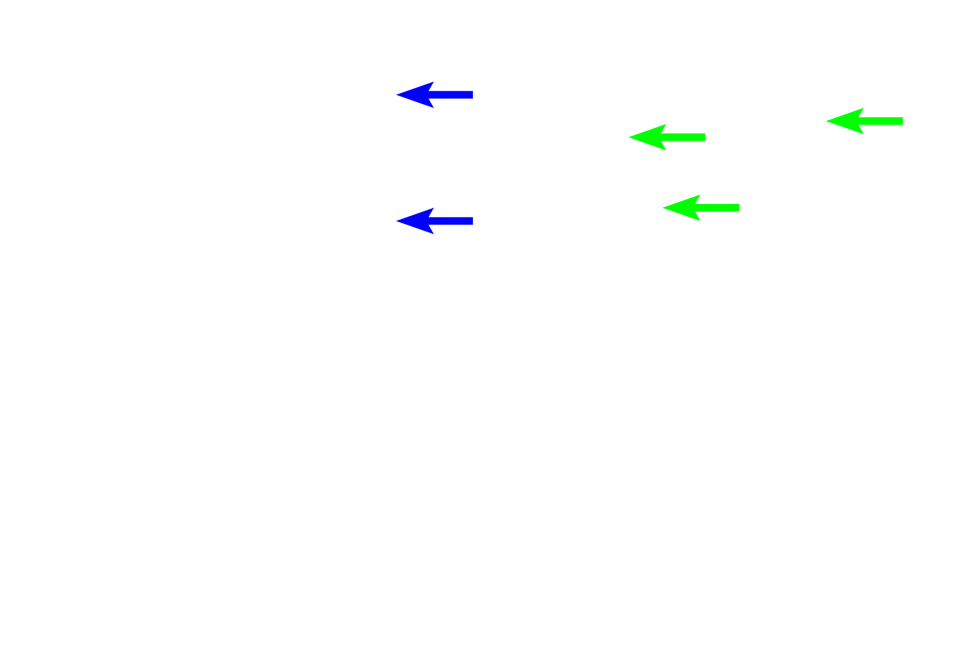 Interlobular artery > <p>Interlobular arteries branch from arcuate arteries and travel through the convoluted portions of the cortex where they give off afferent arterioles supplying the glomerular capillaries.</p>
