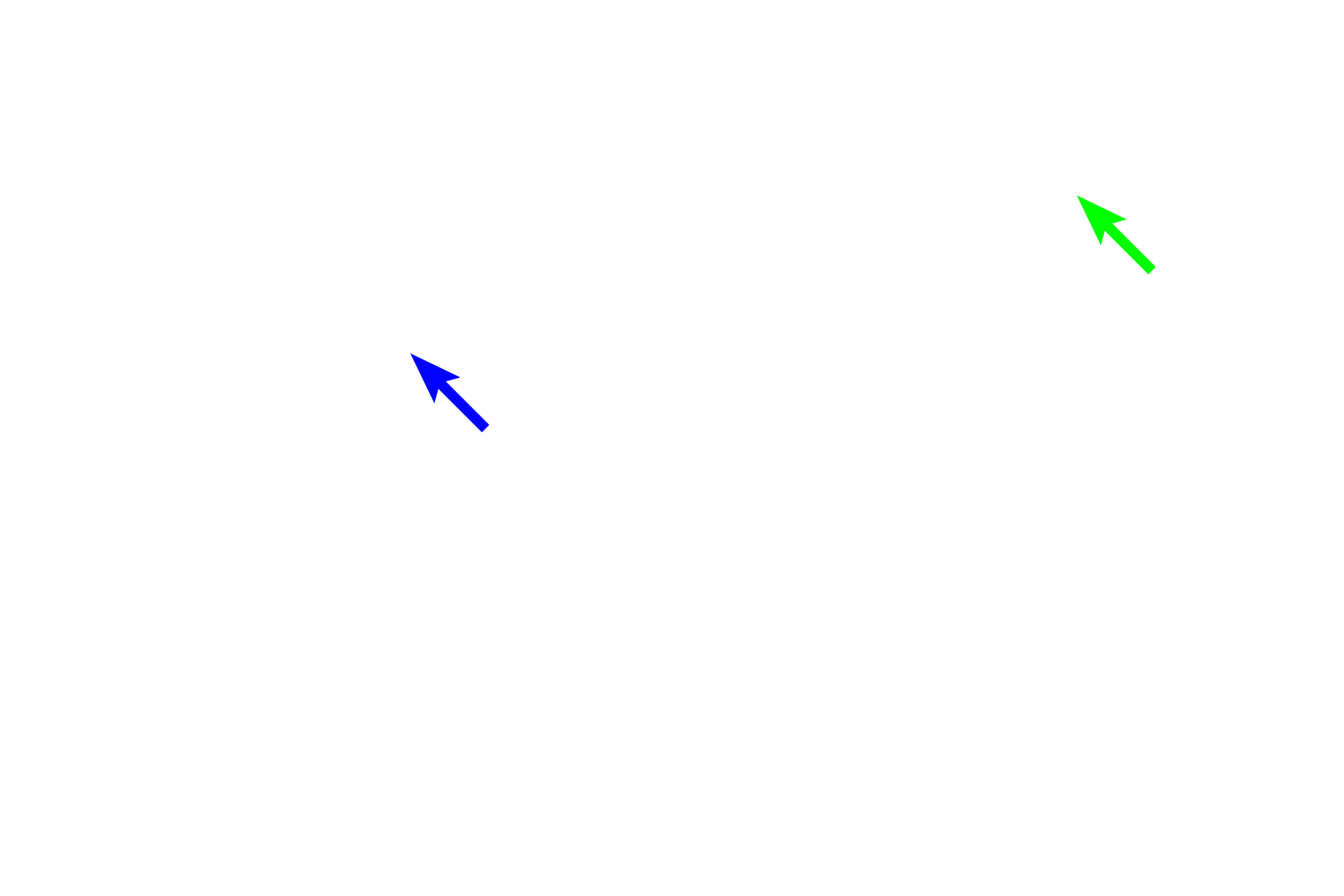  - Connecting tubule > <p>The connecting tubule is a continuation of the distal convoluted tubule in the convoluted region.  This tubule continues as a collecting duct.</p>

