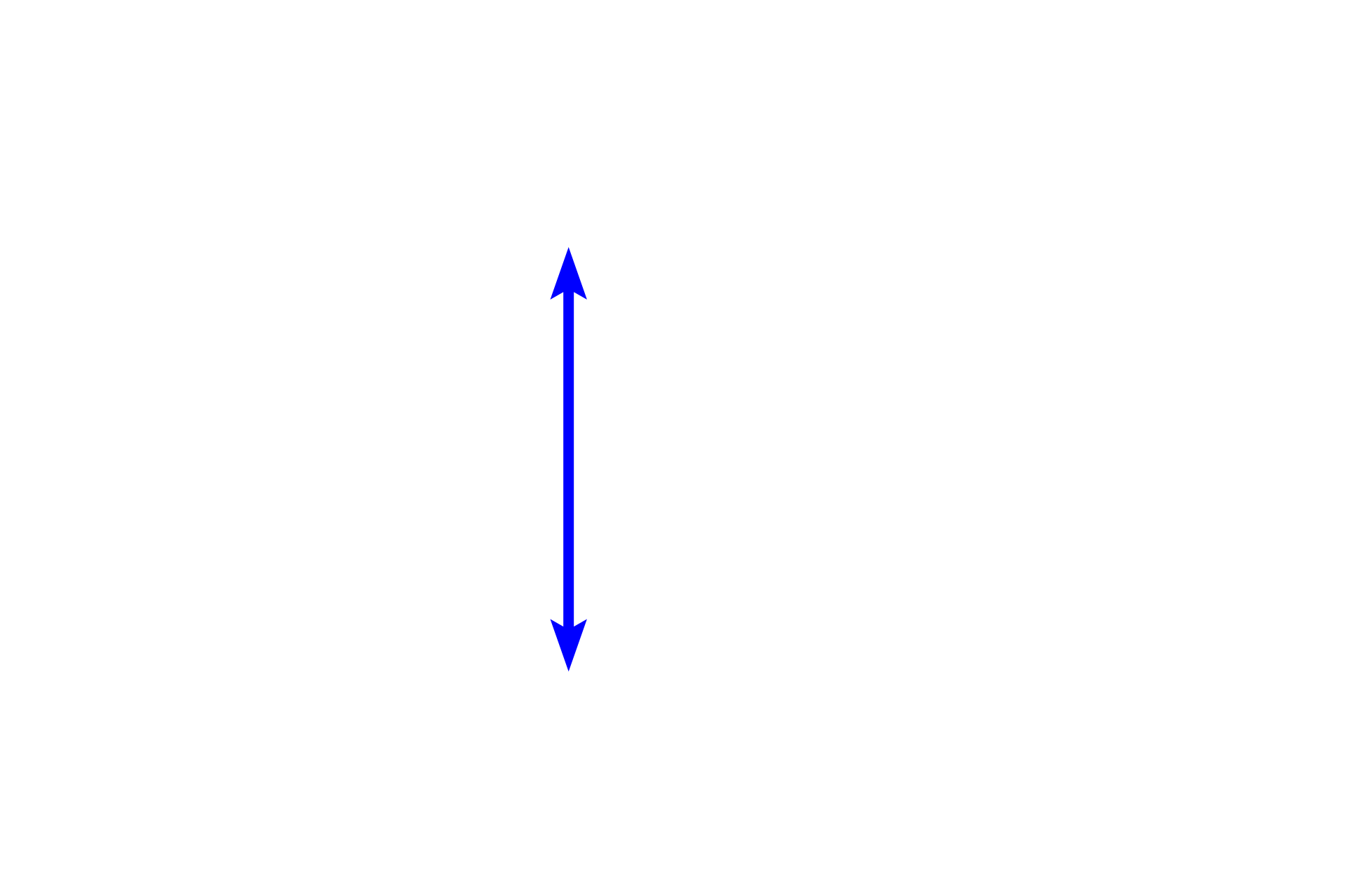  - Glomerulus <p>The afferent arteriole supplies a capillary tuft called the glomerulus, which continues as the efferent arteriole to exit the renal corpuscle.  The junctions of the glomerulus with the afferent and efferent arterioles is termed the vascular pole of the renal corpuscle.</p>
