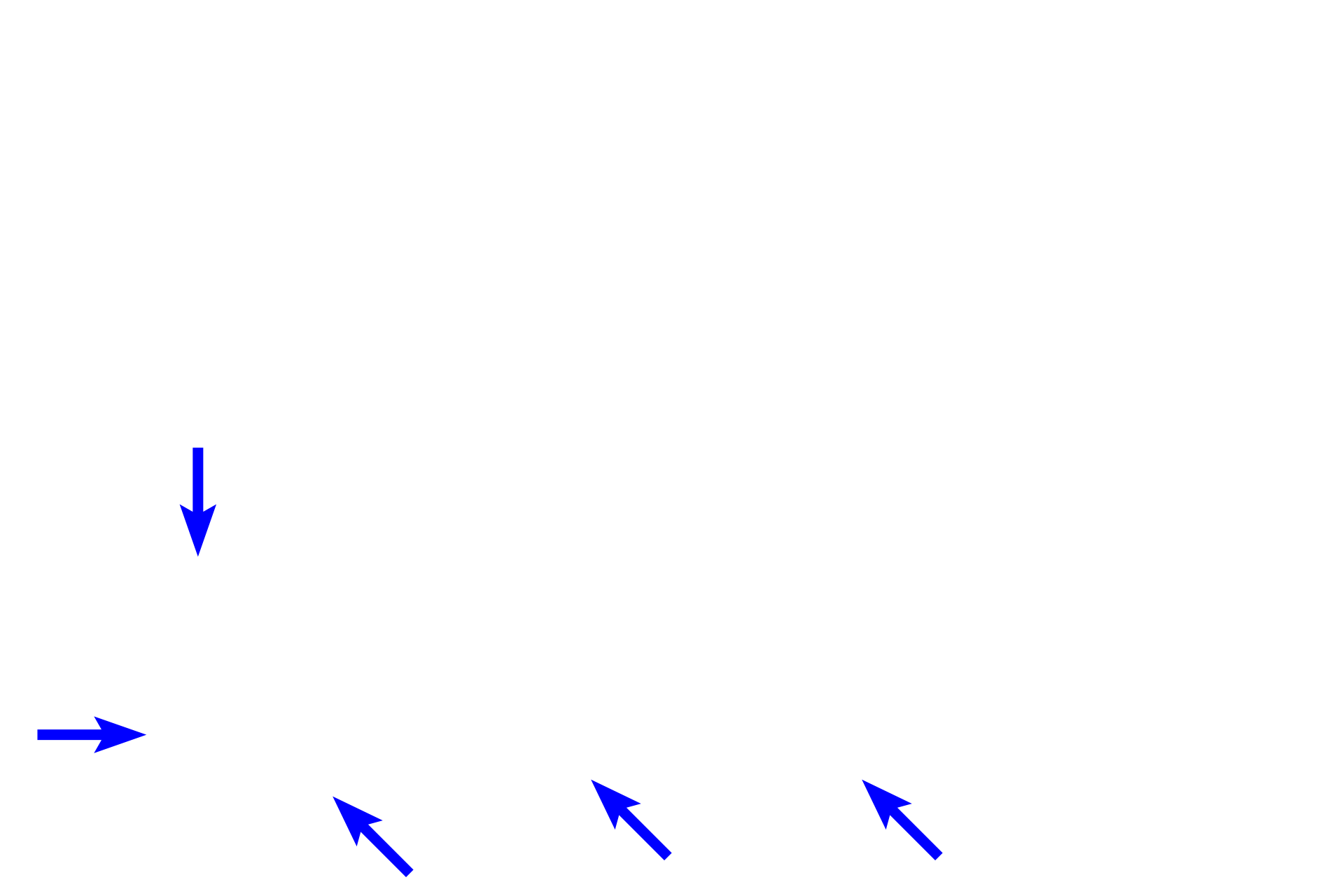 Proximal convoluted tubules <p>The urinary pole is the continuation of the simple squamous epithelium of the parietal layer of Bowman’s capsule with the simple cuboidal epithelium forming the proximal convoluted tubule.  At the urinary pole, the filtrate accumulating in Bowman’s space enters the first tubular part of the nephron, known as the proximal convoluted tubule.</p>
