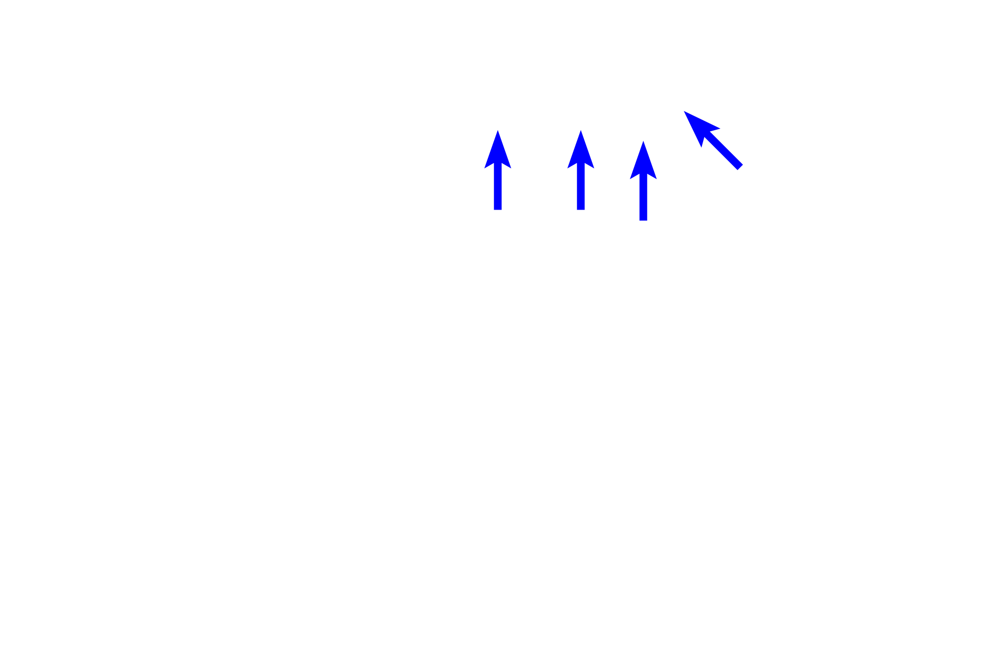  - Afferent arteriole <p>The vascular pole of the renal corpuscle is the site where the afferent and efferent arterioles connect with the capillary tuft that forms the glomerulus. The glomerular capillary and the visceral layer of Bowman’s capsule surrounding it serves as the filtration barrier for the formation of urine.</p>
