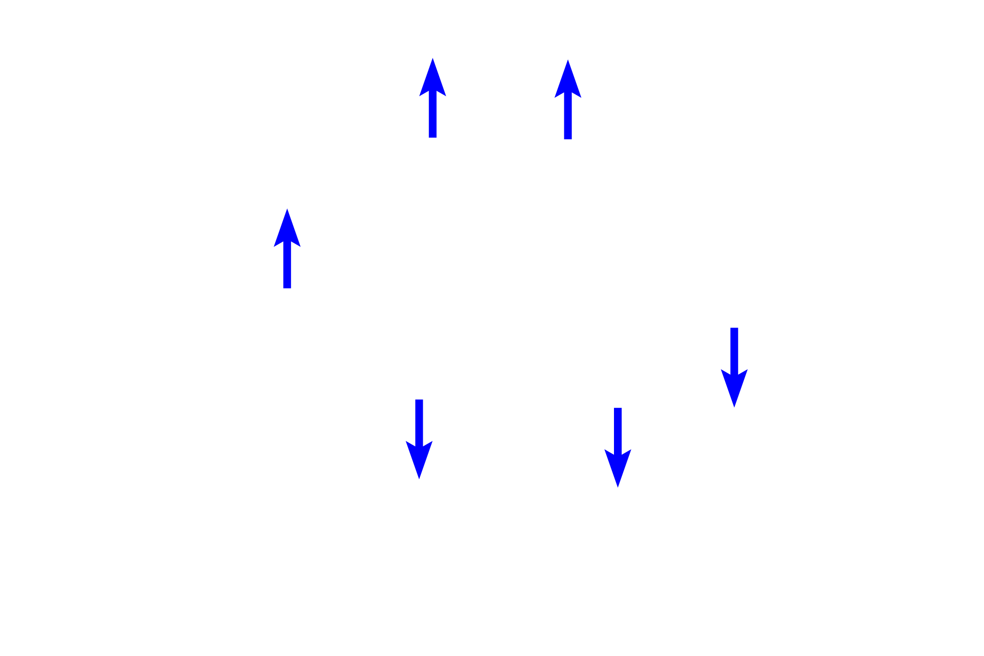  - Parietal layer <p>Bowman’s capsule is a double walled structure enclosing the glomerulus.  An inner layer of cells, podocytes (visceral layer), surrounds the glomerular capillaries and serves as part of the filtration barrier.  The outer parietal layer is a simple squamous epithelium, continuous with the proximal convoluted tubule.  Separating the layers is Bowman’s space, where the filtrate accumulates.</p>
