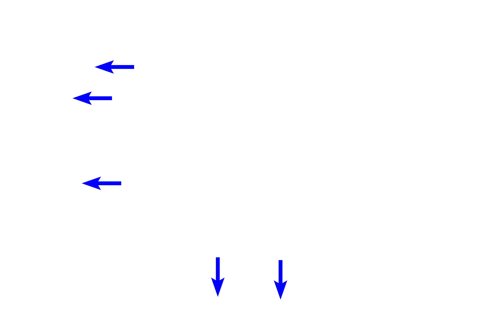  - Parietal layer of Bowman's capsule <p>The glomerular tuft of capillaries is surrounded by the visceral layer of Bowman’s capsule, whose modified cells form podocytes.  The parietal layer of Bowman’s capsule is composed of simple squamous epithelium.  10x, 400x</p>
