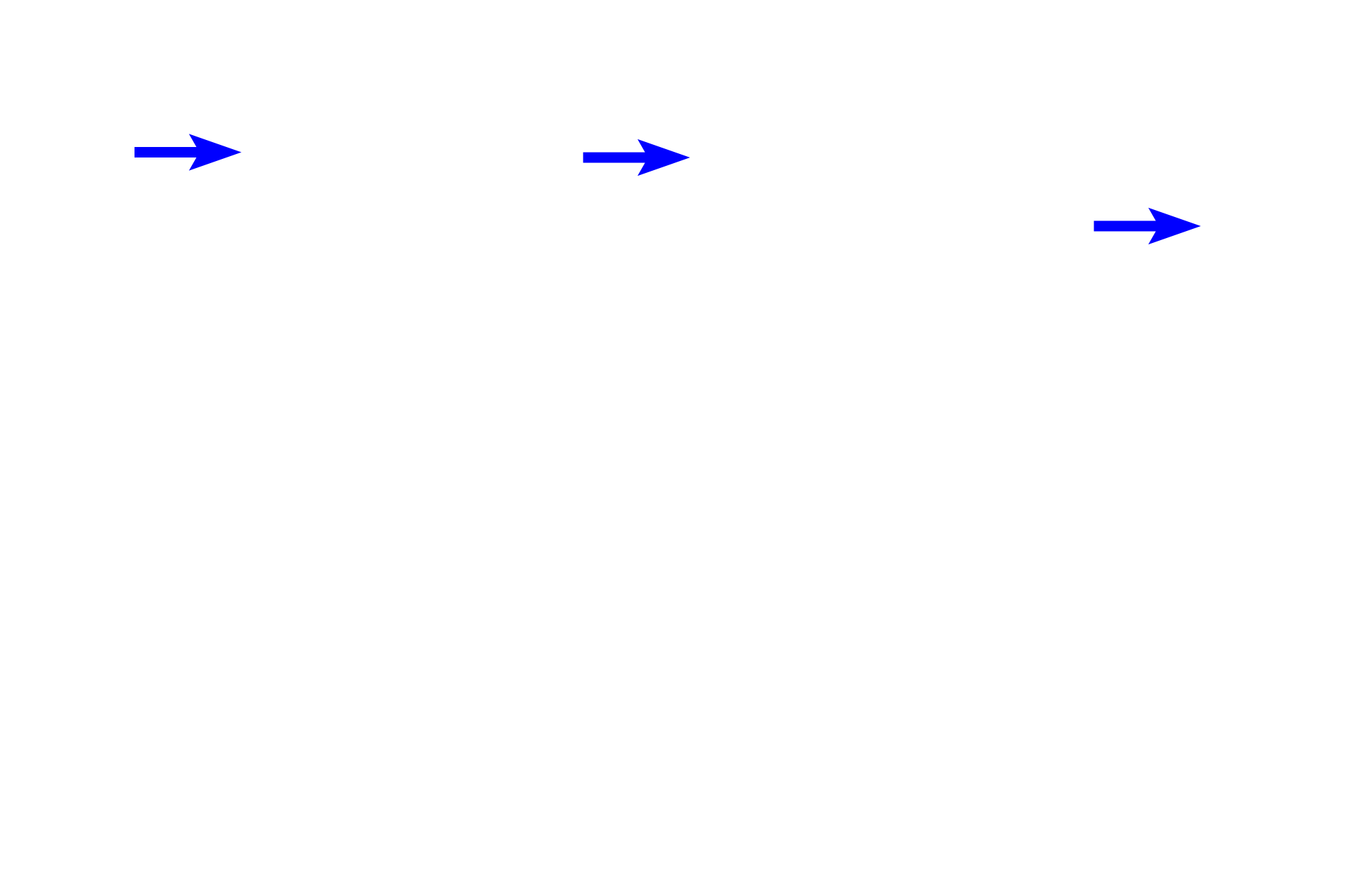 Endothelial cells  <p>Endothelial cells line the glomerular capillaries, which are fenestrated capillaries, lacking diaphragms.</p>
