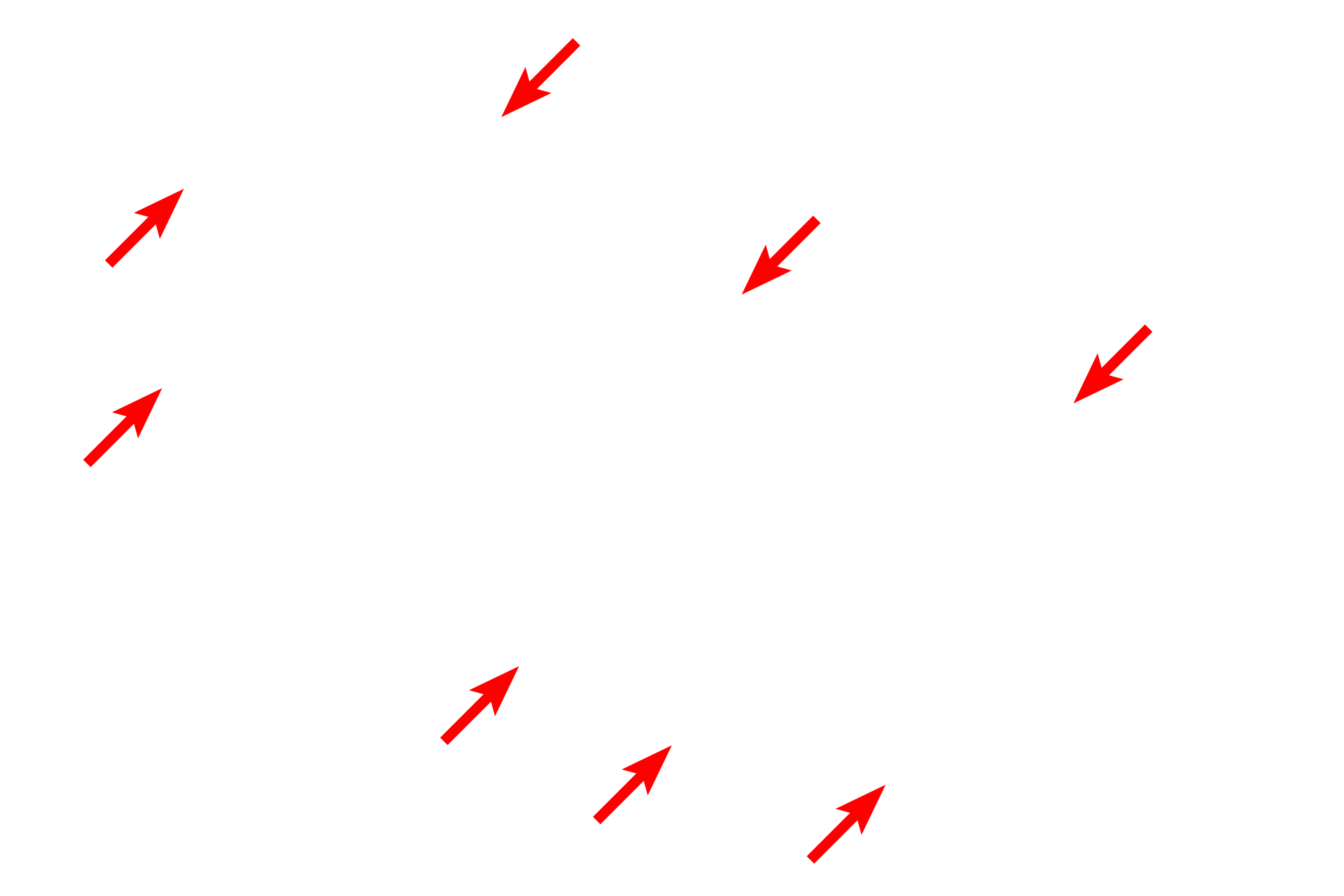 Basal laminae <p>The pedicels of a podocyte contact the thick, combined basal laminae of the endothelial cell and the podocyte.  The pedicels of one podocyte interdigitate with those from a different podocyte.  In many cases, the connection of the pedicel with the primary process is not visible.  The endothelium of the capillaries is widely fenestrated and lacks the diaphragms commonly seen in other fenestrated capillaries.  14,000x</p>
