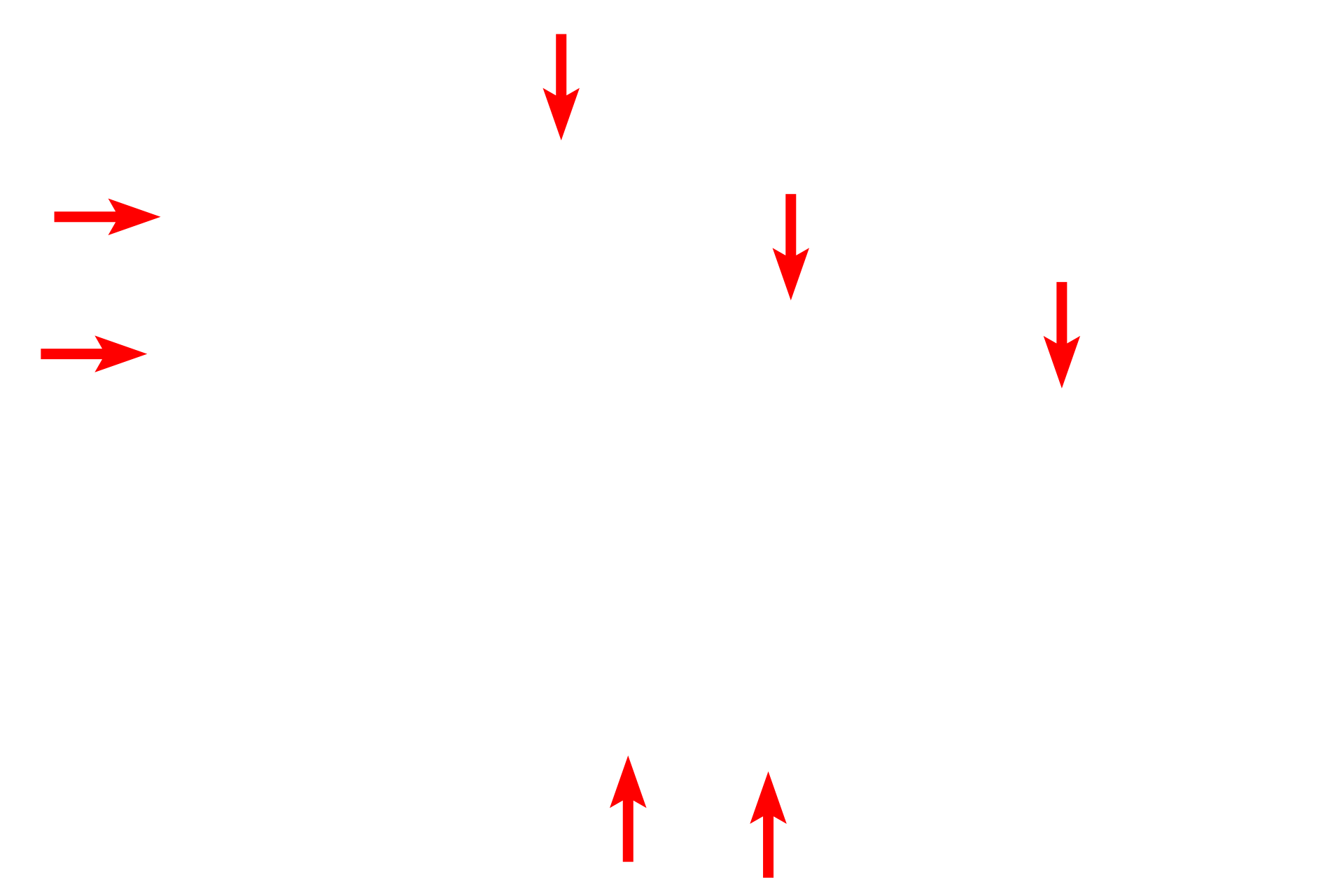  - Fenestrated endothelium <p>The pedicels of a podocyte contact the thick, combined basal laminae of the endothelial cell and the podocyte.  The pedicels of one podocyte interdigitate with those from a different podocyte.  In many cases, the connection of the pedicel with the primary process is not visible.  The endothelium of the capillaries is widely fenestrated and lacks the diaphragms commonly seen in other fenestrated capillaries.  14,000x</p>
