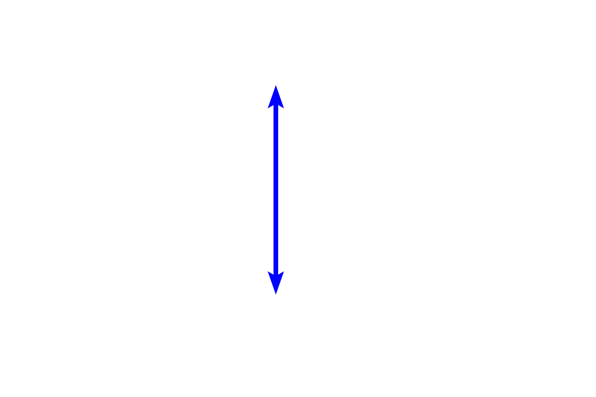  - Glomerulus <p>The interlobular artery, a branch from the arcuate artery, gives rise to afferent arterioles, one of which supplies each glomerulus of a renal corpuscle.  Renal corpuscles are located in the convoluted portions of the cortex, which form the lateral boundaries of each renal lobule.  An interlobular artery and vein mark the lateral boundary of a lobule.  10x, 200x</p>
