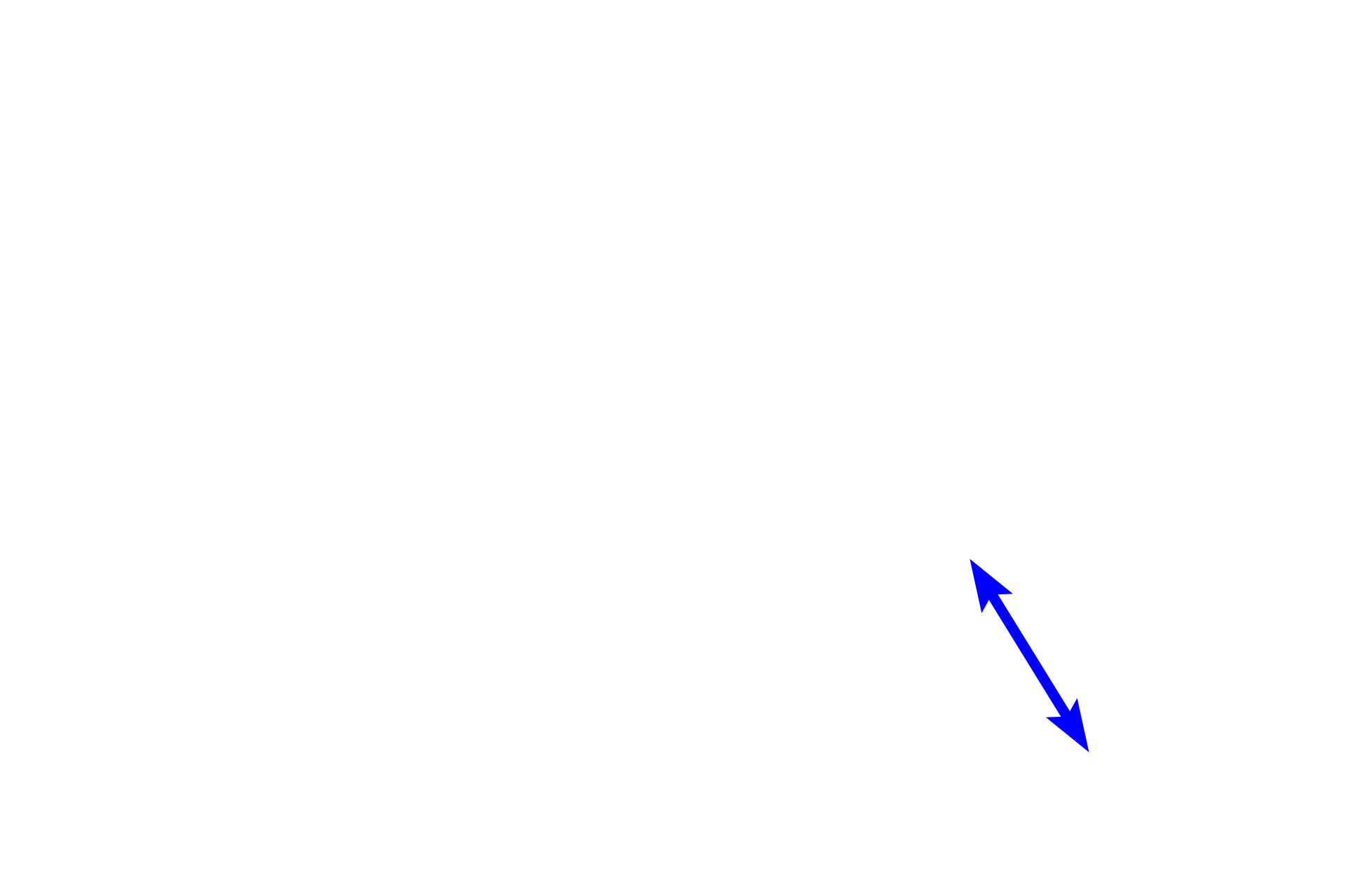 Interlobular artery <p>The interlobular artery, a branch from the arcuate artery, gives rise to afferent arterioles, one of which supplies each glomerulus of a renal corpuscle.  Renal corpuscles are located in the convoluted portions of the cortex, which form the lateral boundaries of each renal lobule.  An interlobular artery and vein mark the lateral boundary of a lobule.  10x, 200x</p>

