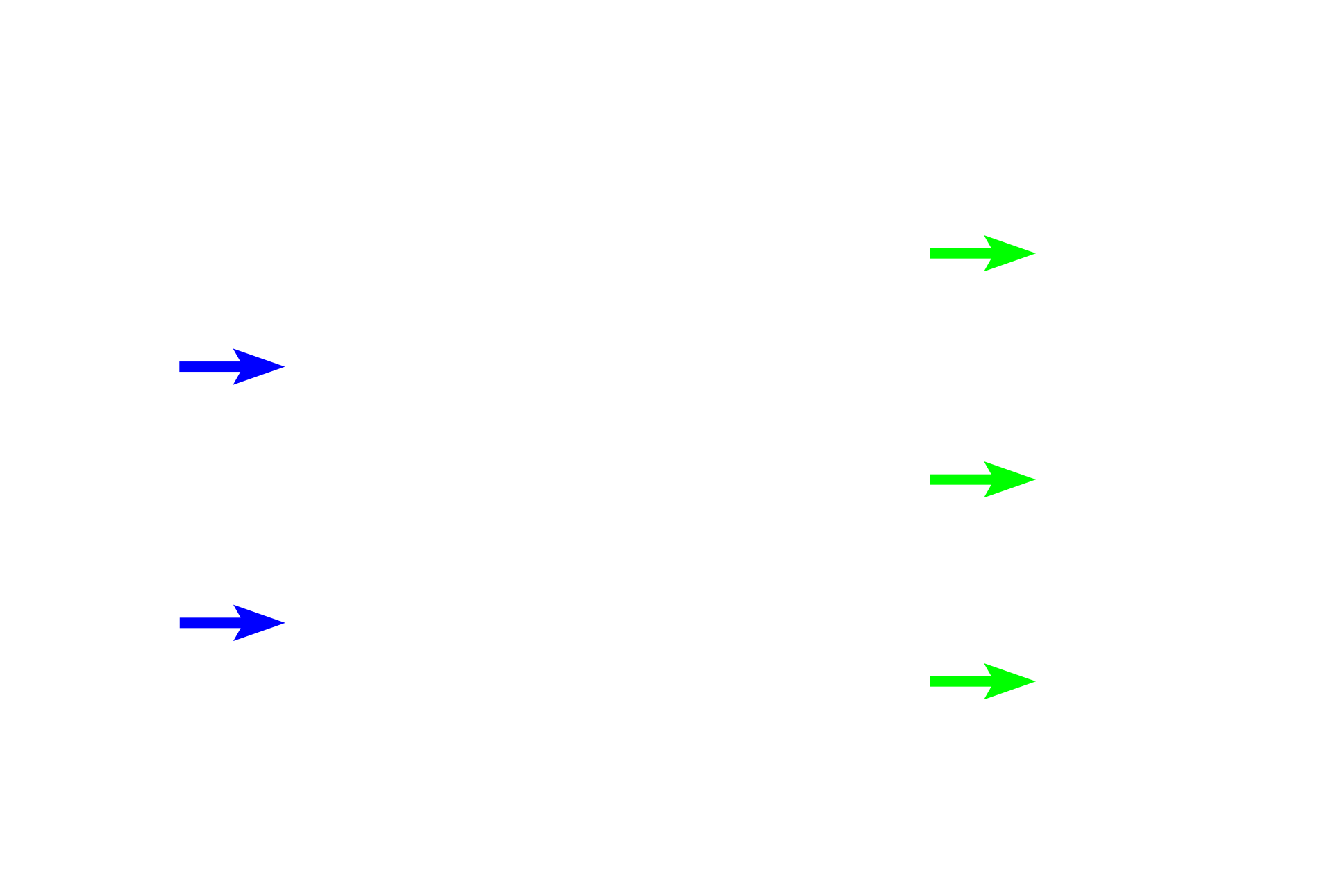  - Collecting duct <p>In the convoluted region of the cortex, a distal convoluted tubule continues as a connecting tubule that arches into a medullary ray and joins a collecting duct to descend into the medulla.  Cells forming collecting ducts increase from cuboidal to columnar along their path from cortex to medulla.  The largest ducts, papillary ducts of Bellini, open into the minor calyx.</p>
