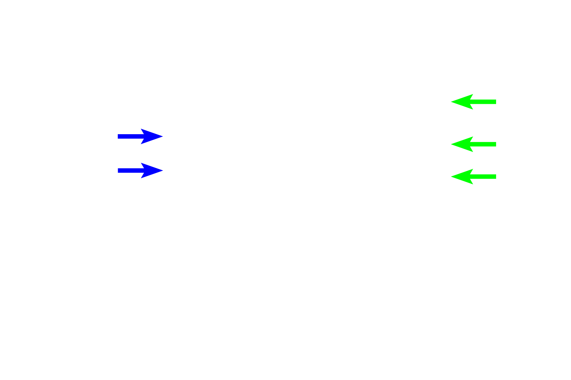 Proximal straight tubule > <p>The proximal tubule enters the medullary ray, where it is called the proximal straight tubule.  This segment can also be called the thick descending limb of the loop of Henle.  It descends through the medullary ray of the cortex to enter the medulla.</p>
