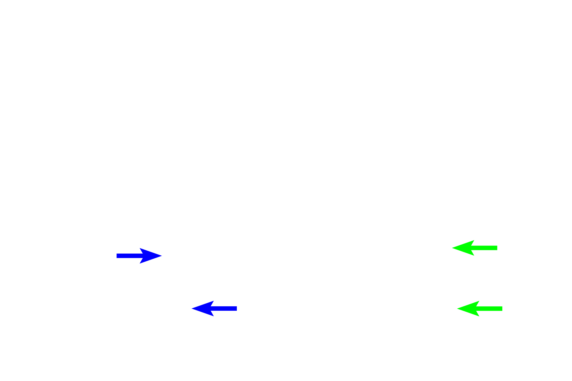 Thin limb > <p>The thin limb of Henle’s loop, continuing from the proximal straight tubule, is usually located in the medulla, forming the bend in the loop of Henle.</p>
